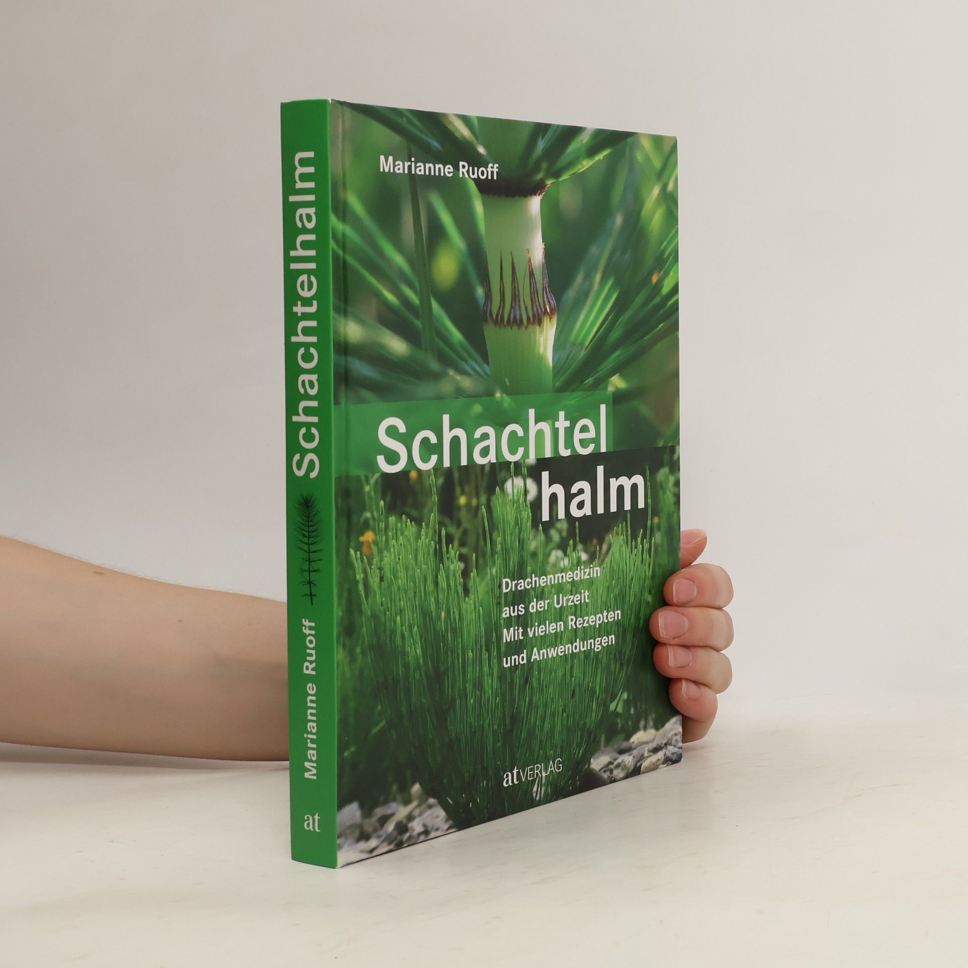 Marianne Ruoff Schachtelhalm