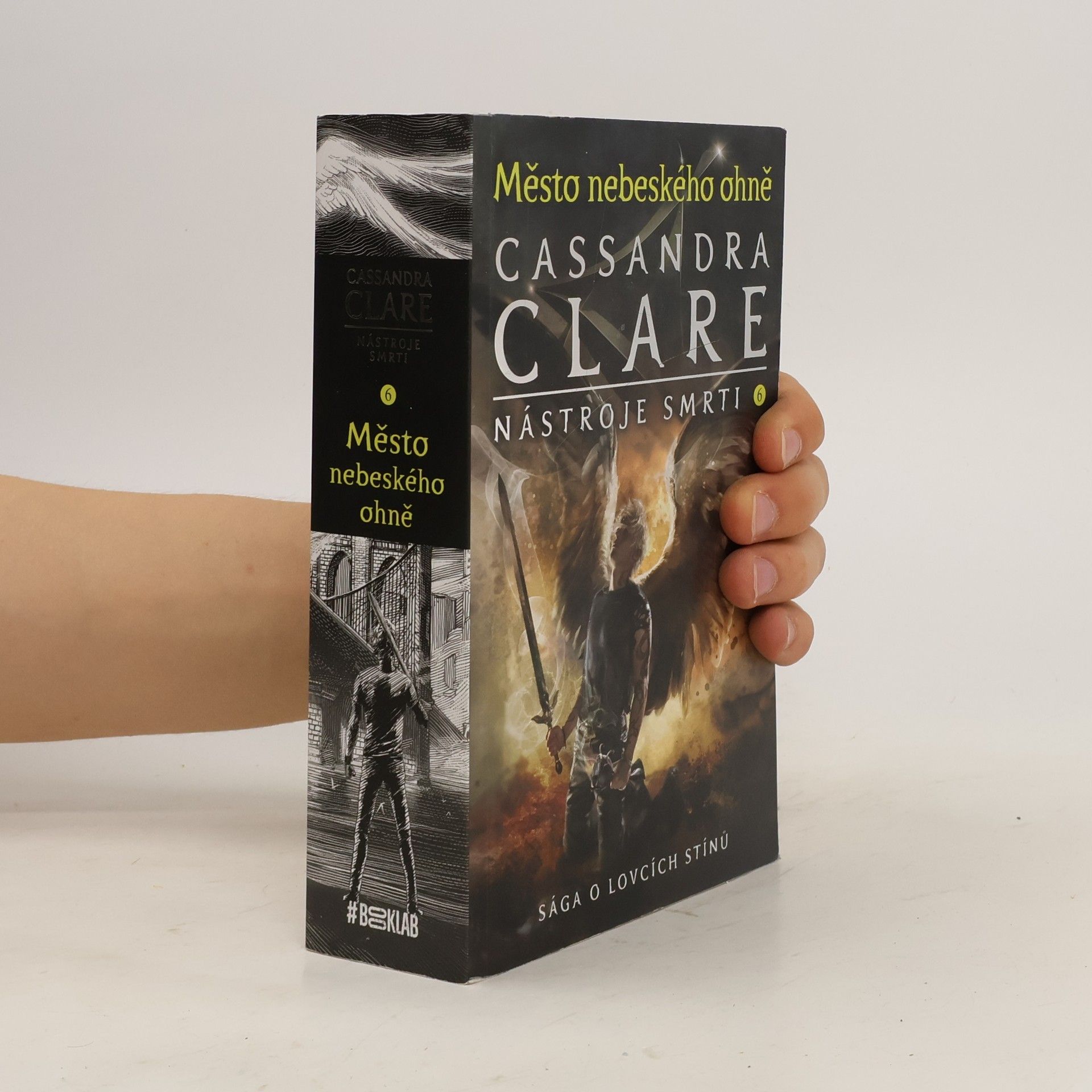 Cassandra Clare Nástroje smrti 6 - Město nebeského ohně