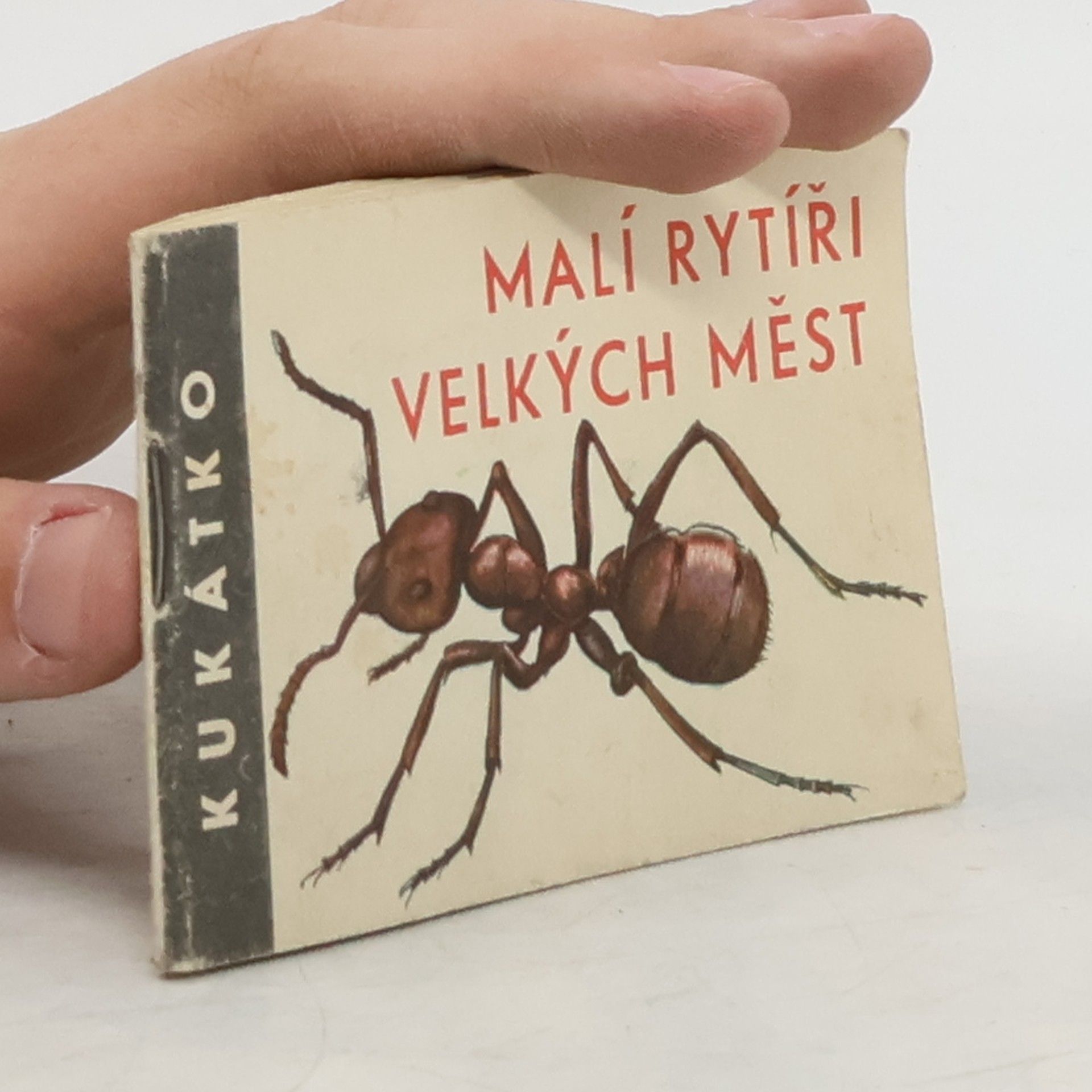 Ludvík Souček Malí rytíři velkých měst