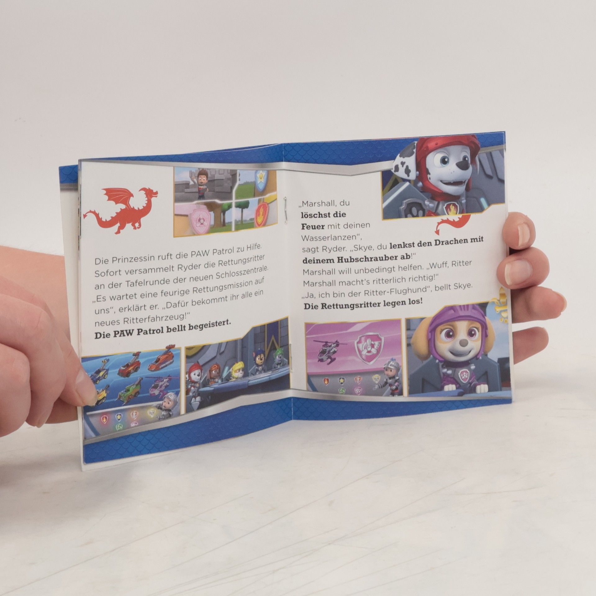 kolektiv Paw Patrol