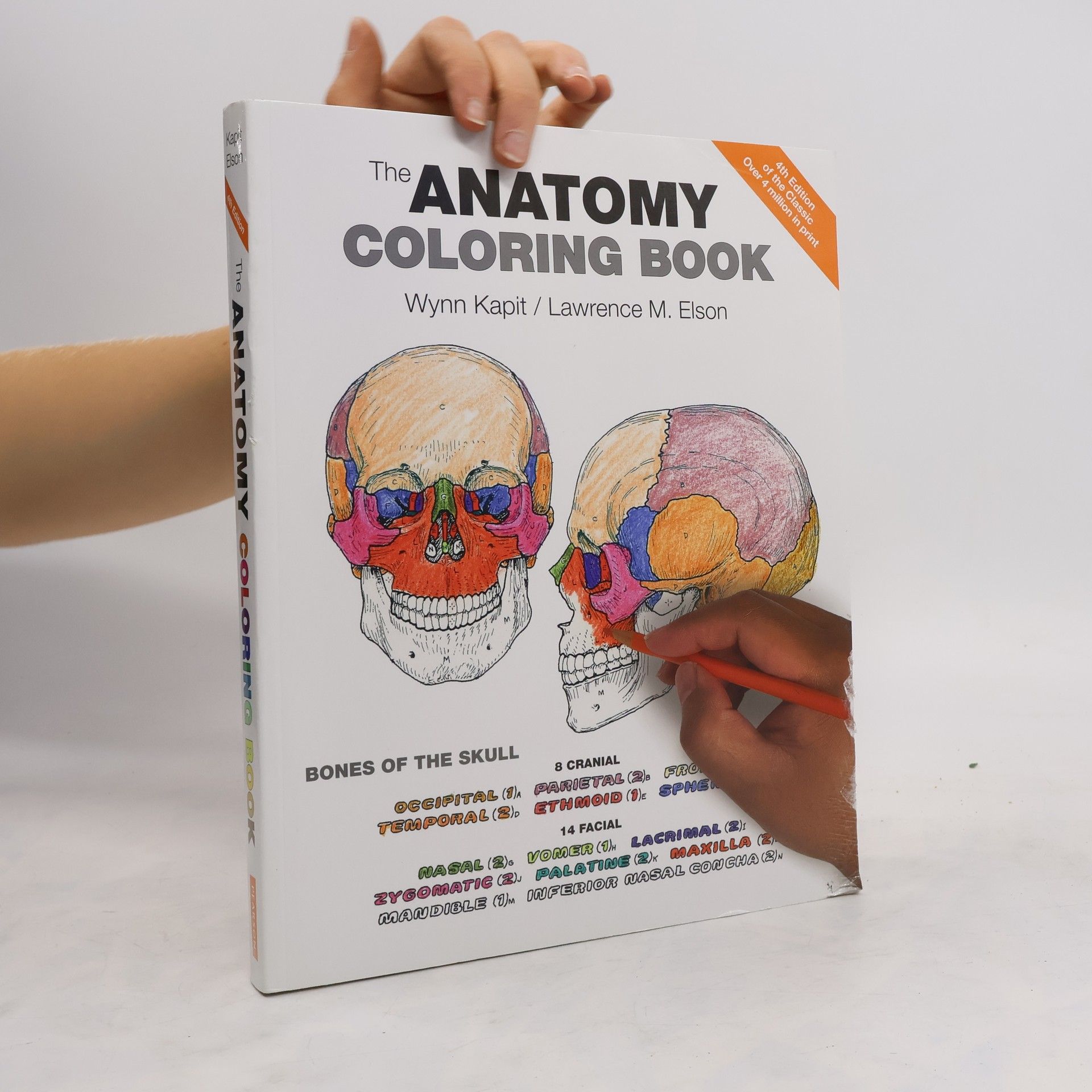 Lawrence M. Elson The anatomy coloring book