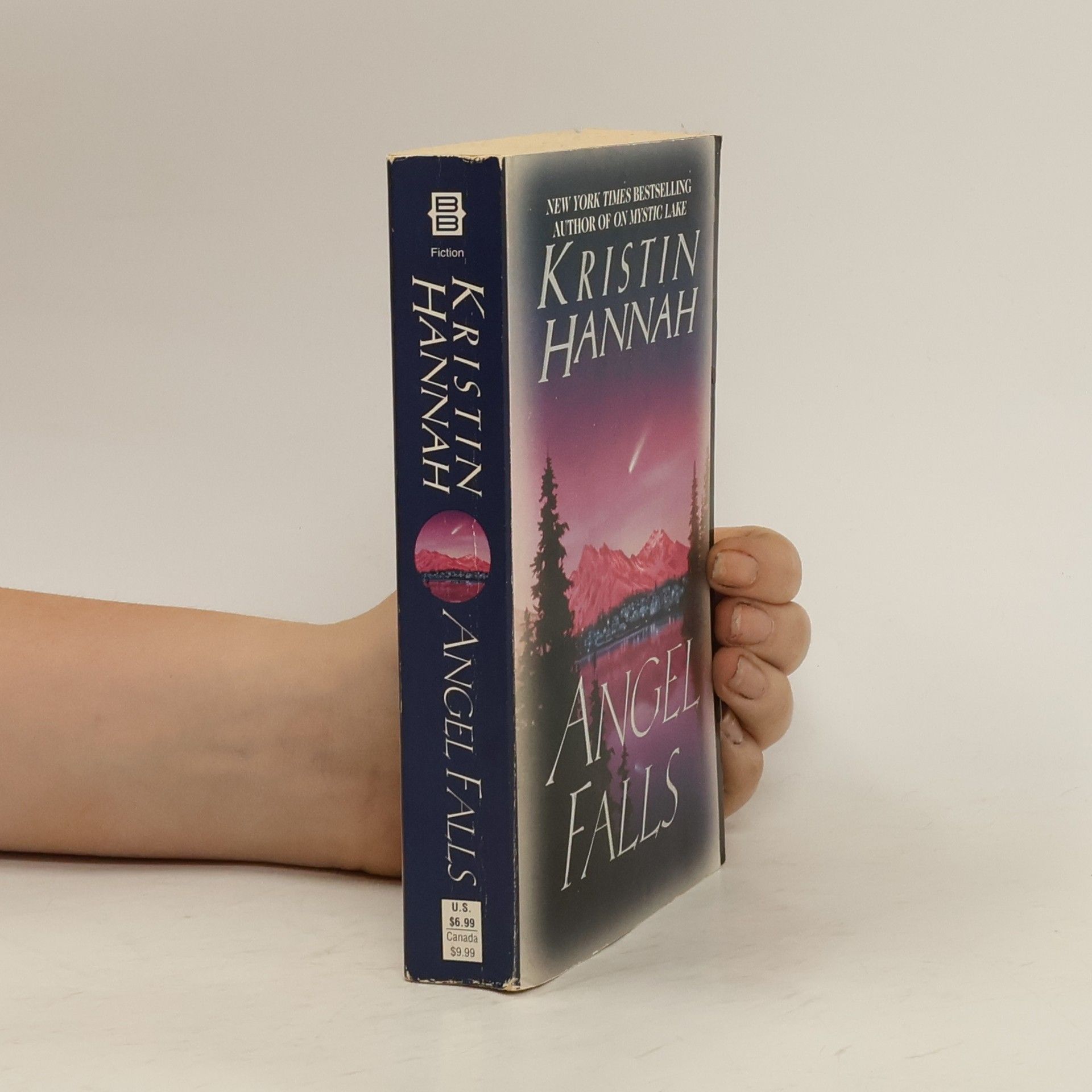 Kristin Hannah Angel Falls
