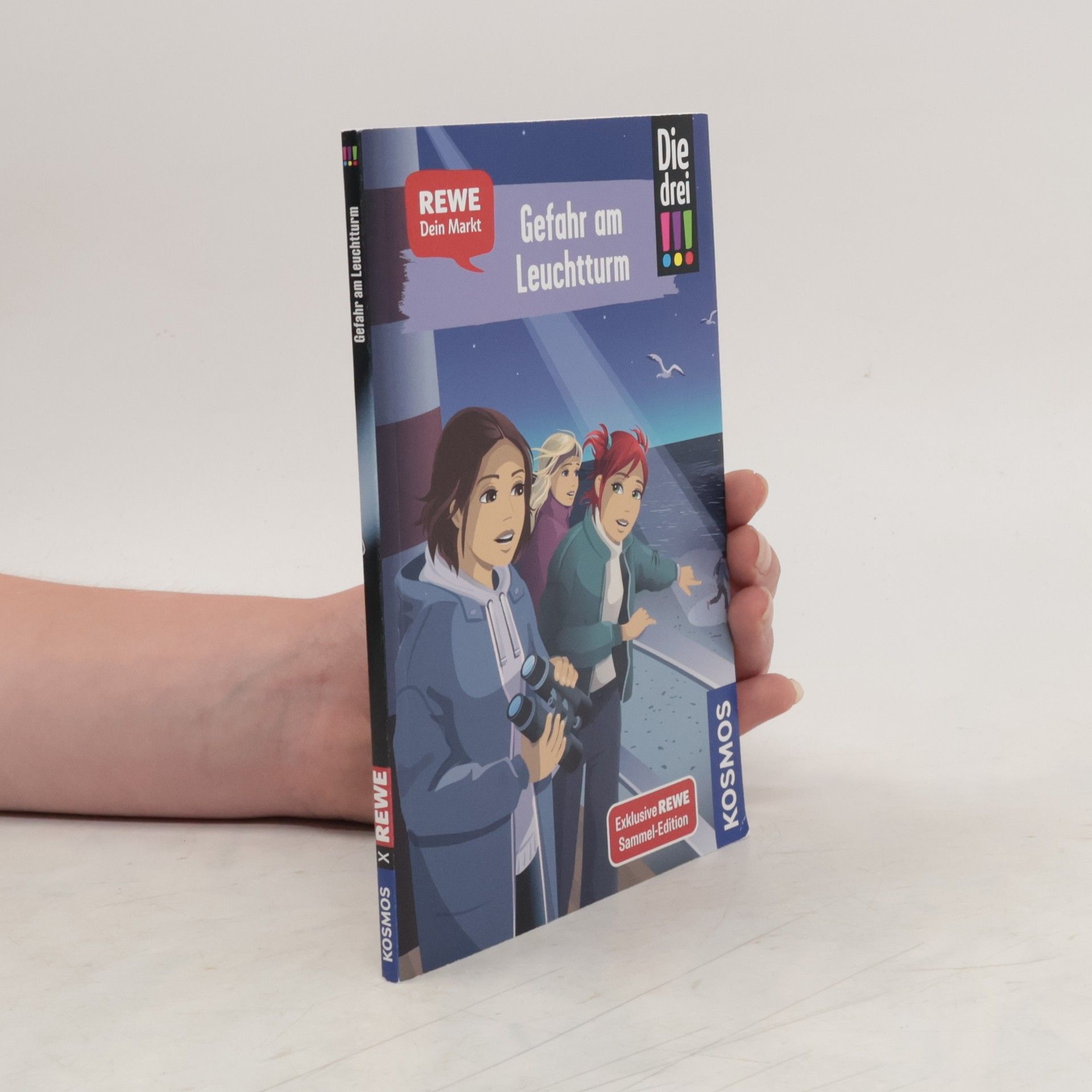 Ann-Katrin Heger Gefahr am Leuchtturm