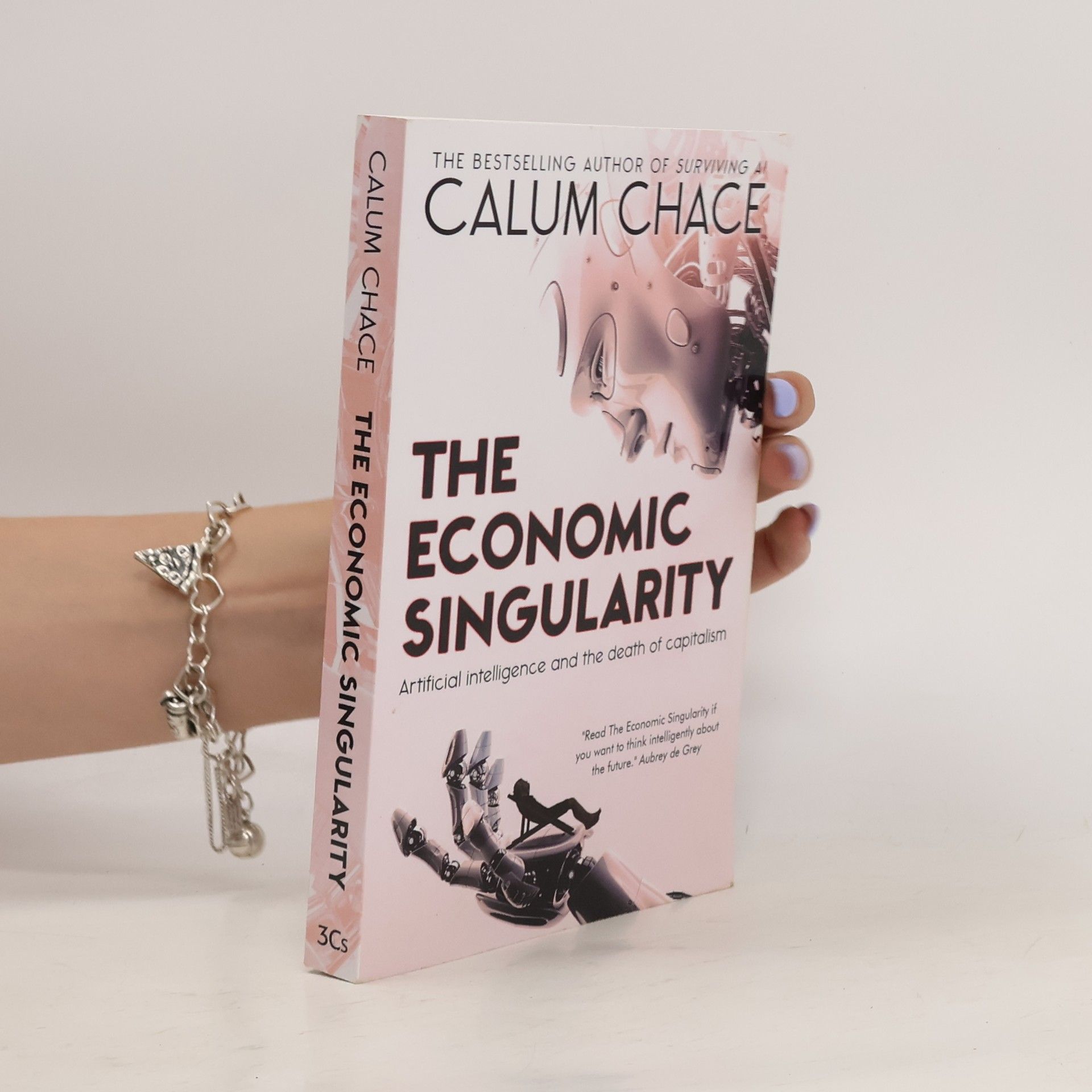 Calum Chace The Economic Singularity