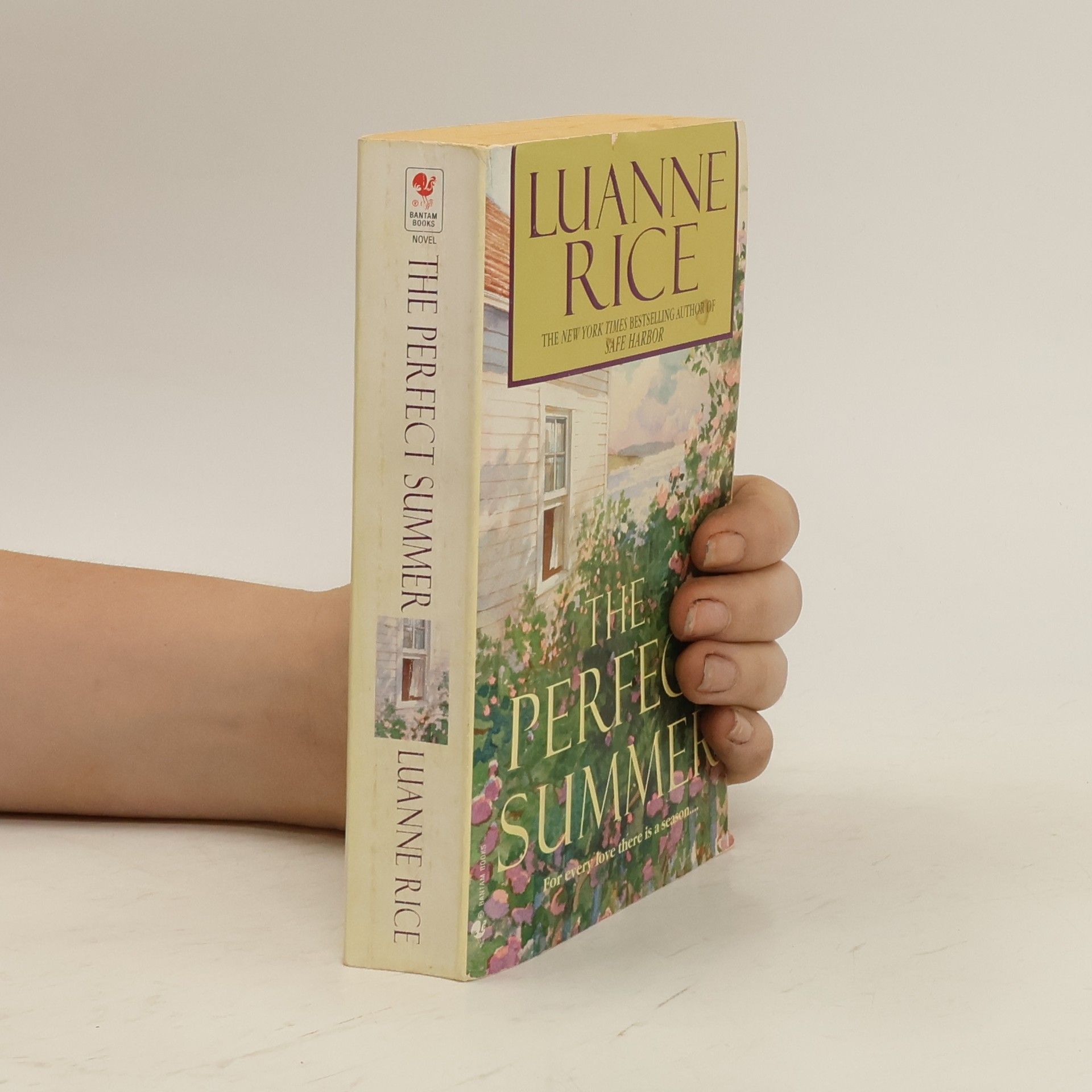 Luanne Rice The Perfect Summer