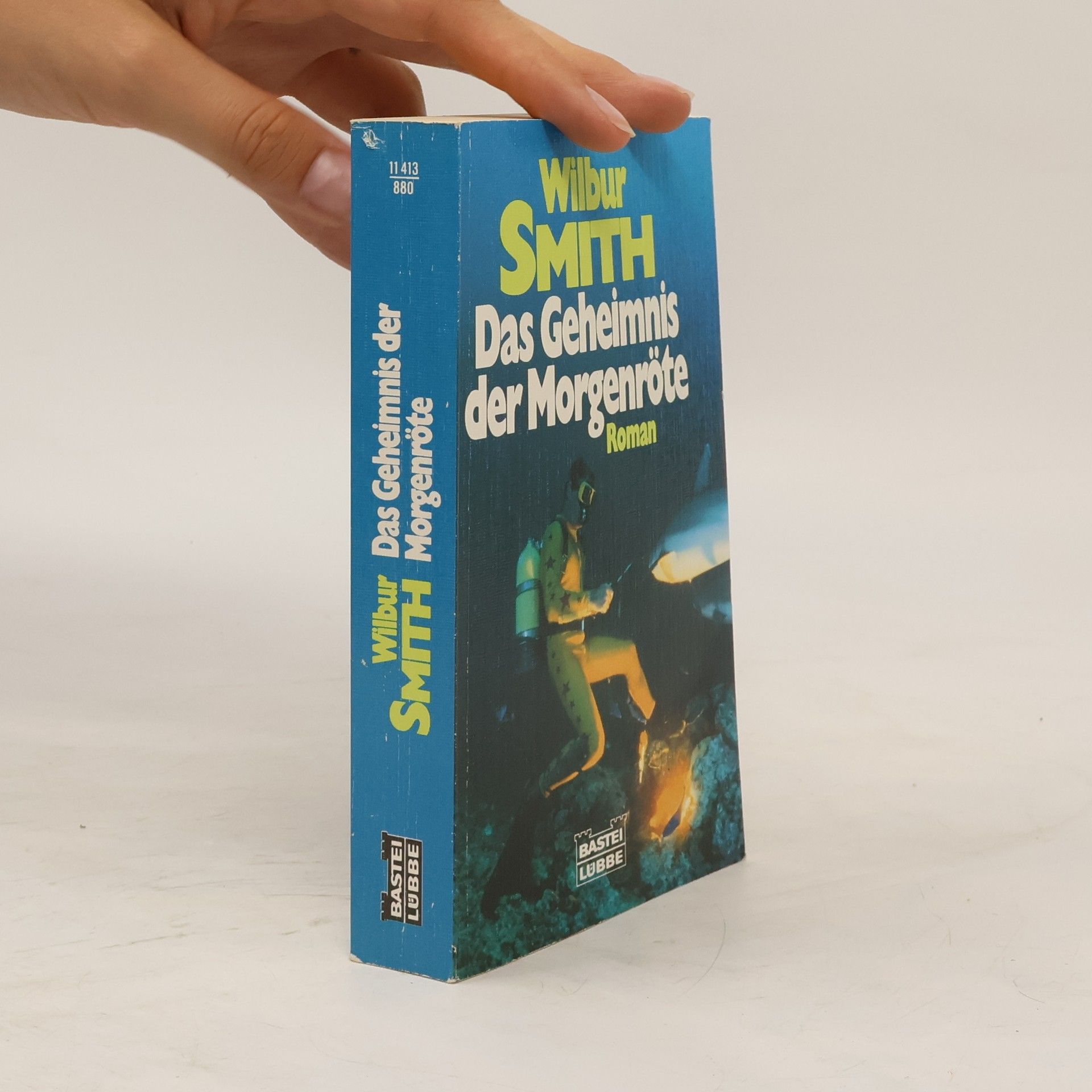 Wilbur Smith Das Geheimnis der Morgenröte