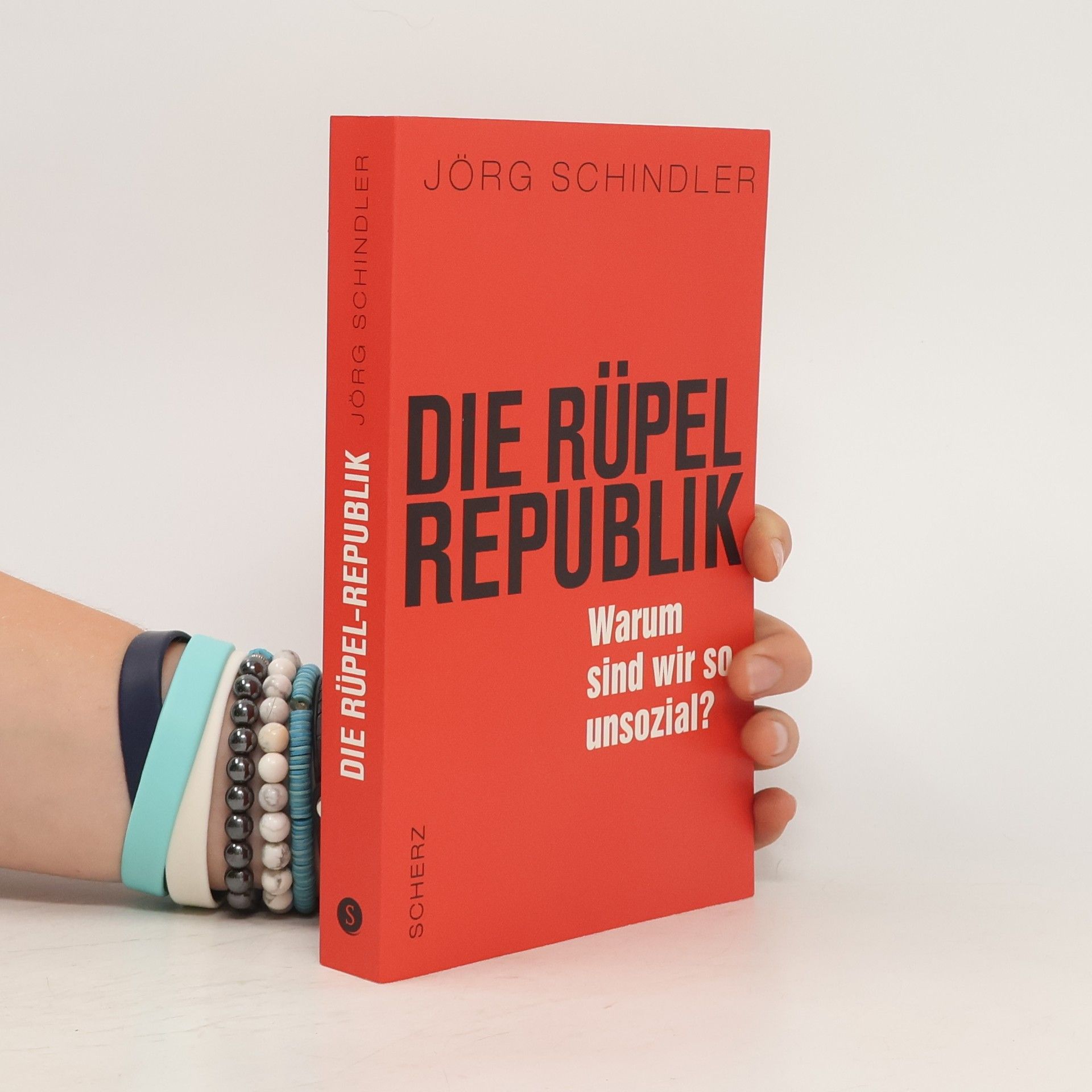 Jörg Schindler-Schwabedissen Die Rüpel-Republik