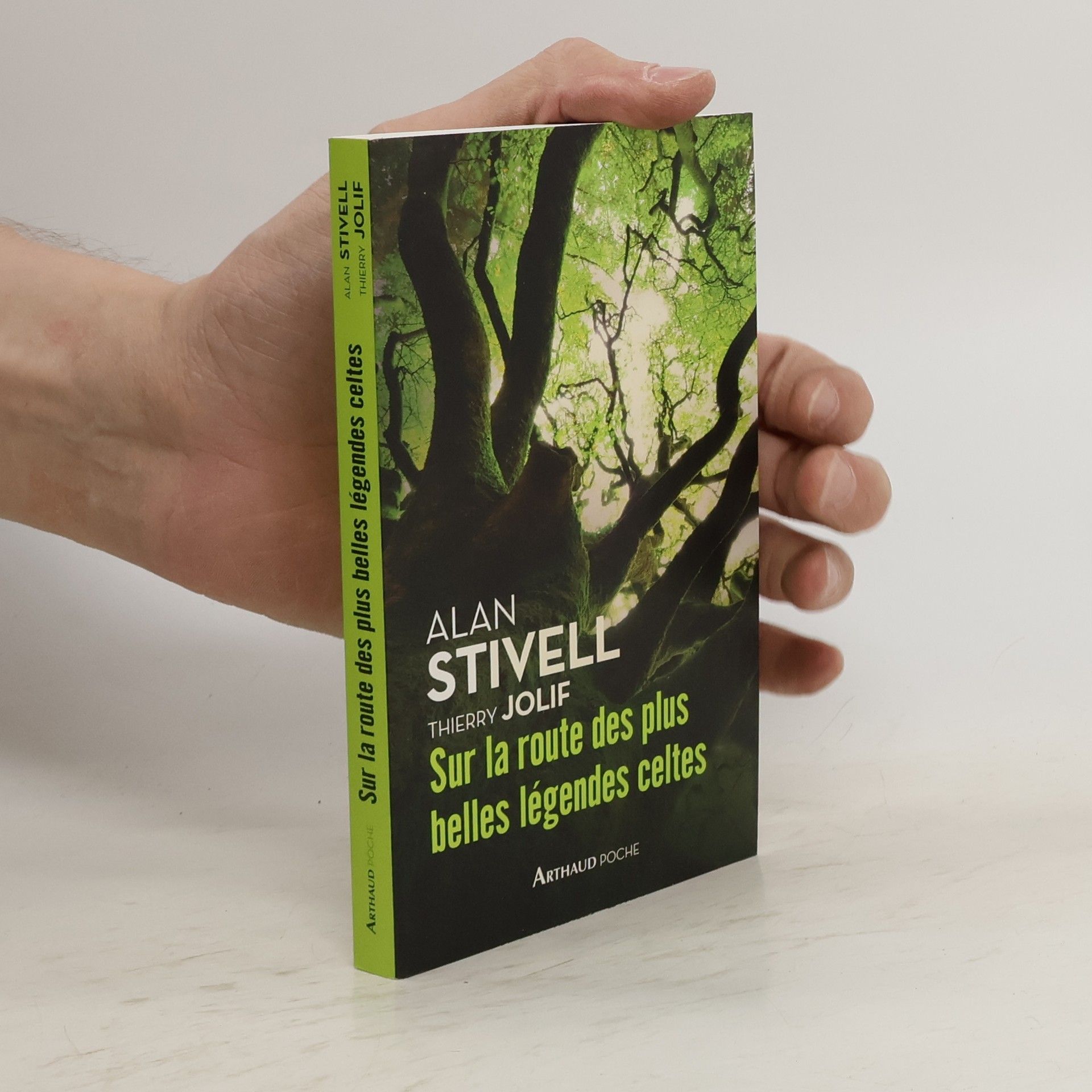 Alan Stivell Sur la route des plus belles légendes celtes