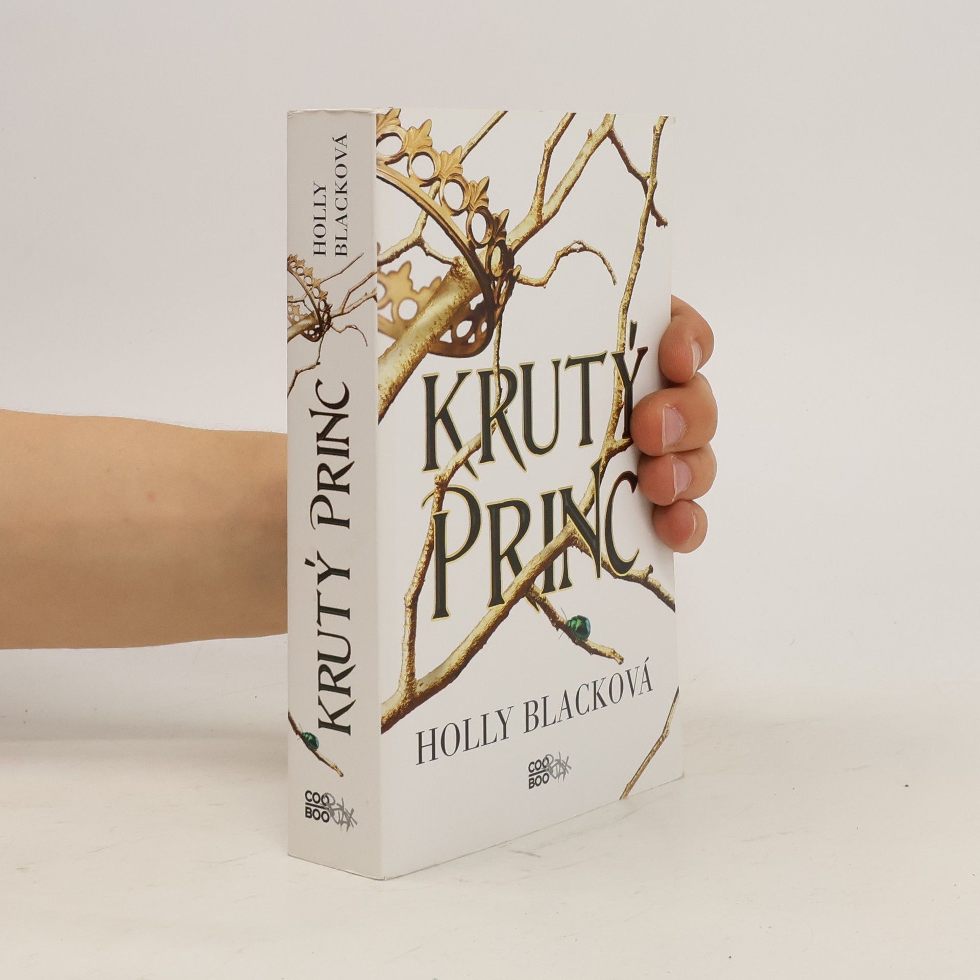 Holly Black Krutý princ