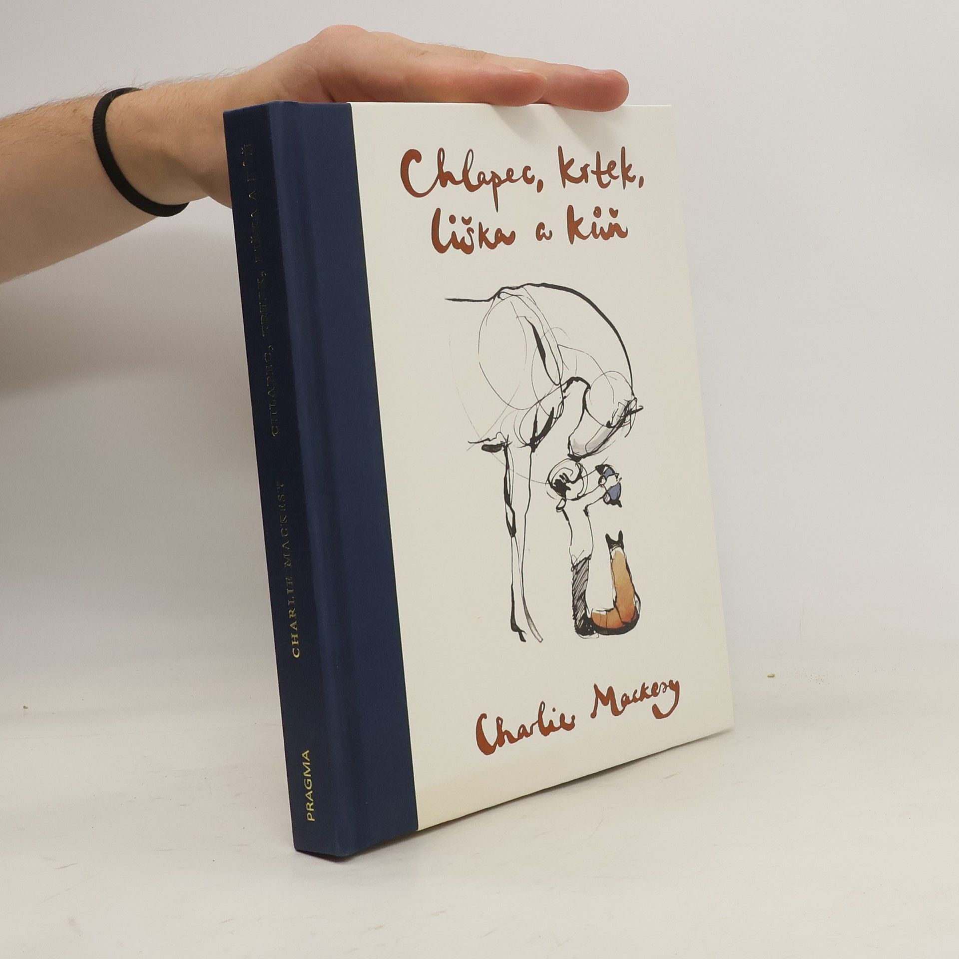 Charlie Mackesy Chlapec, krtek, liška a kůň