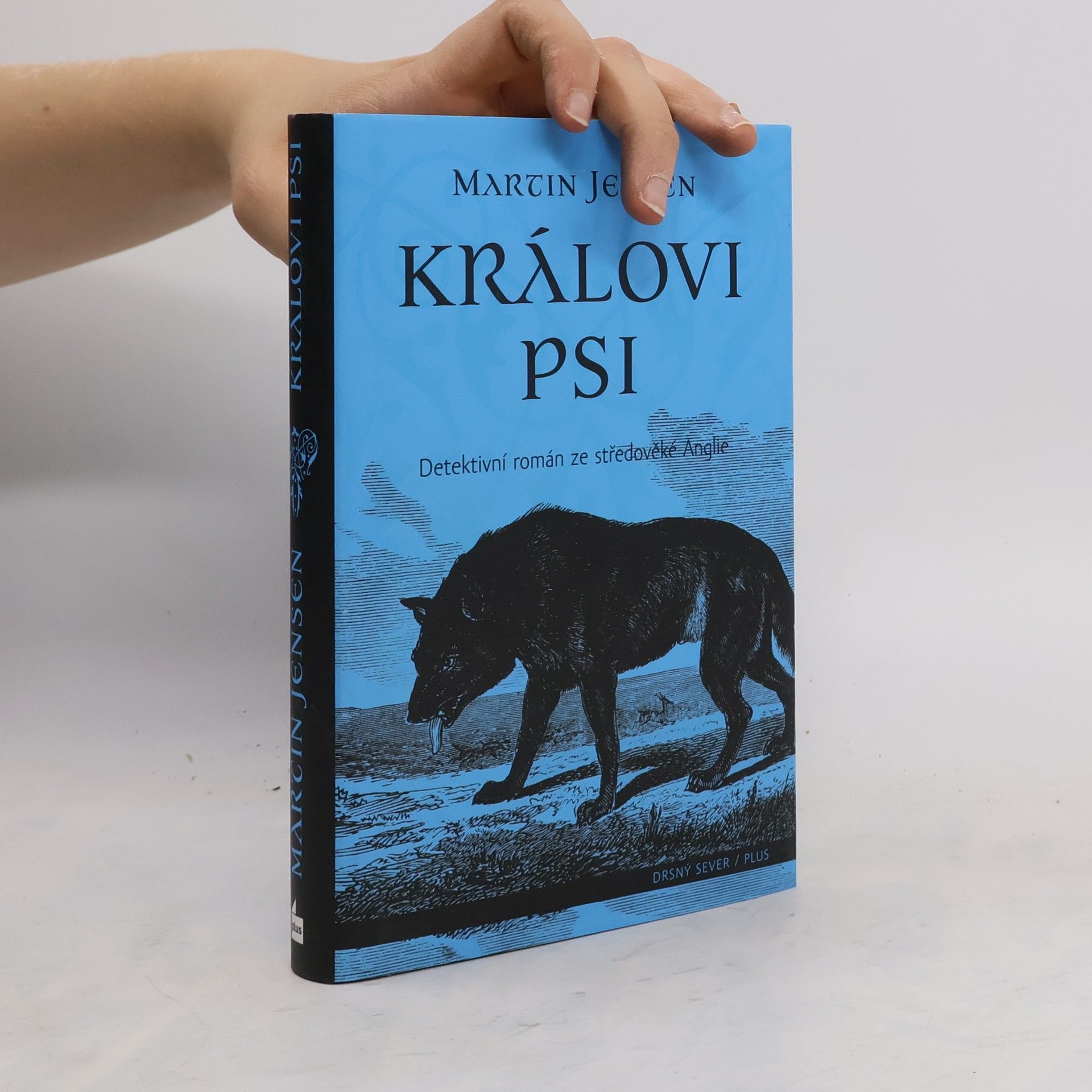 Martin Jensen Královi psi
