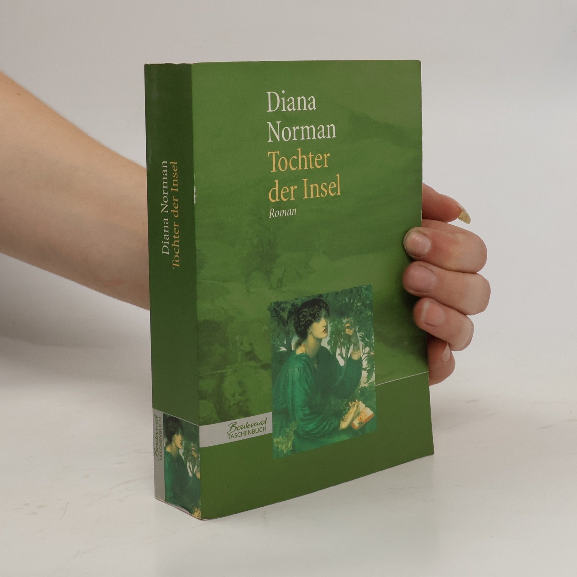 Ariana Franklin Tochter der Insel