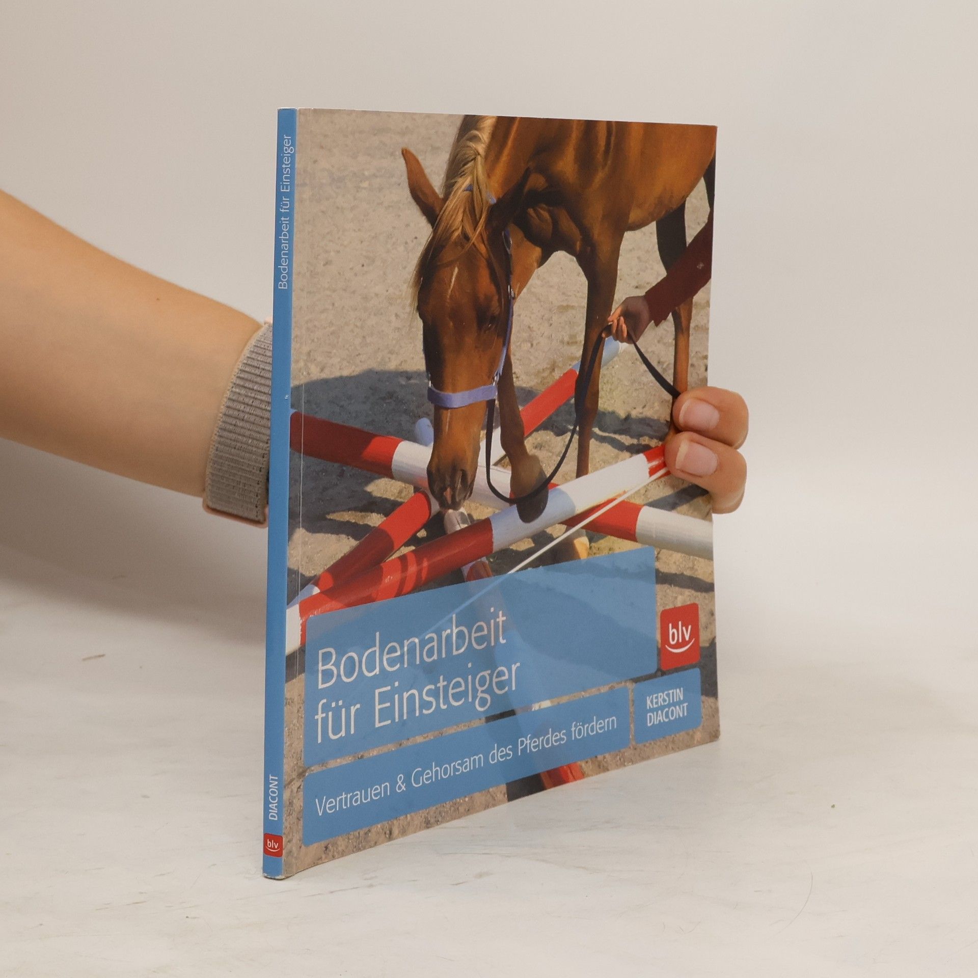 Kerstin Diacont Bodenarbeit für Einsteiger