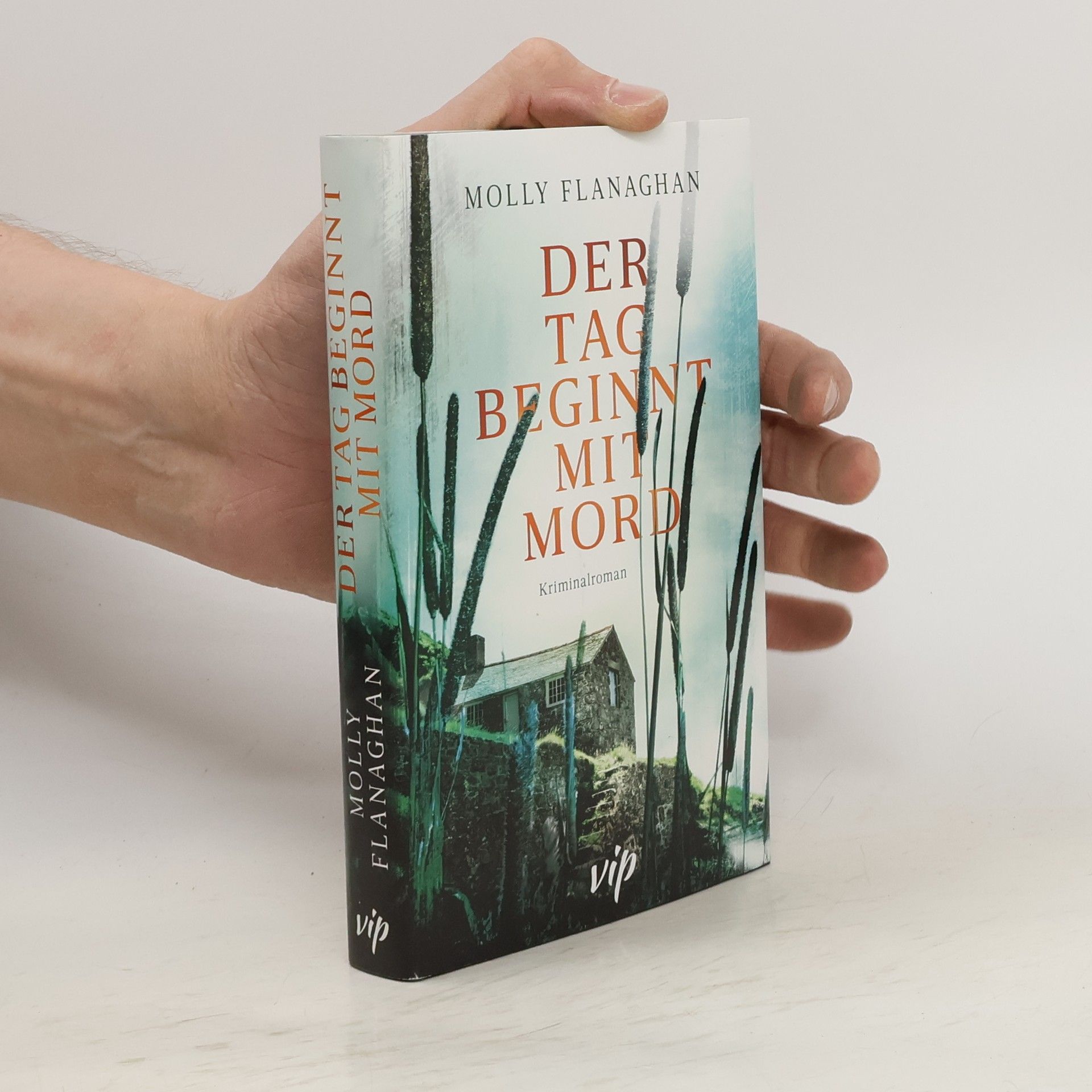 Molly Flanaghan Der Tag beginnt mit Mord