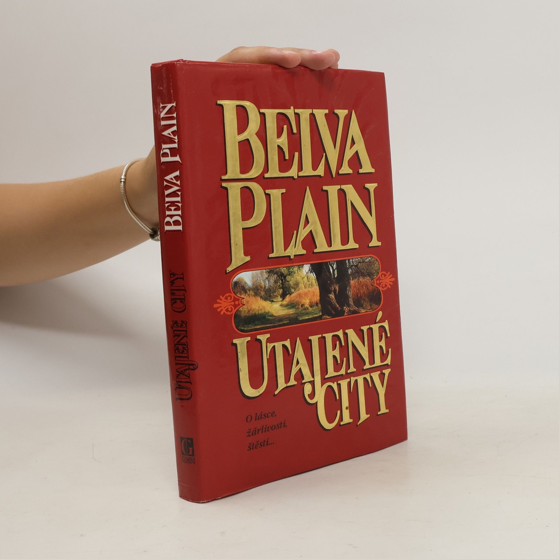 Belva Plain Utajené city