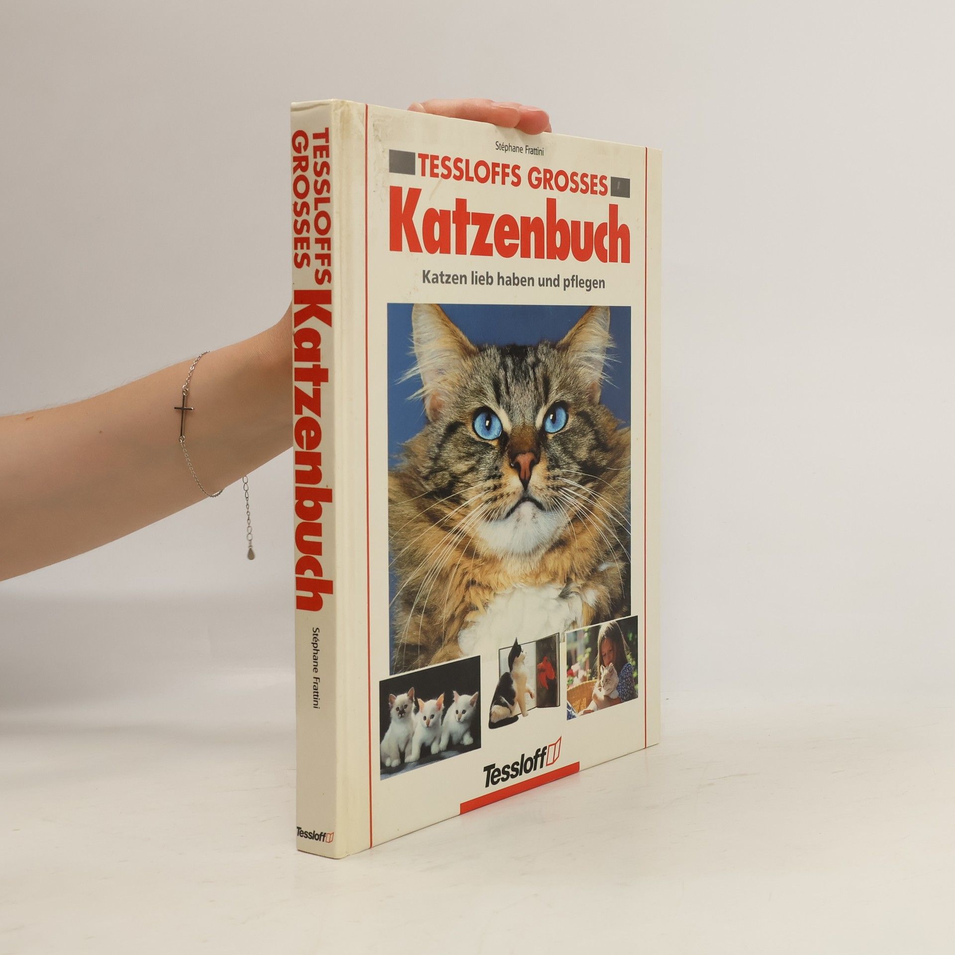 Stéphane Frattini Tessloffs grosses Katzenbuch