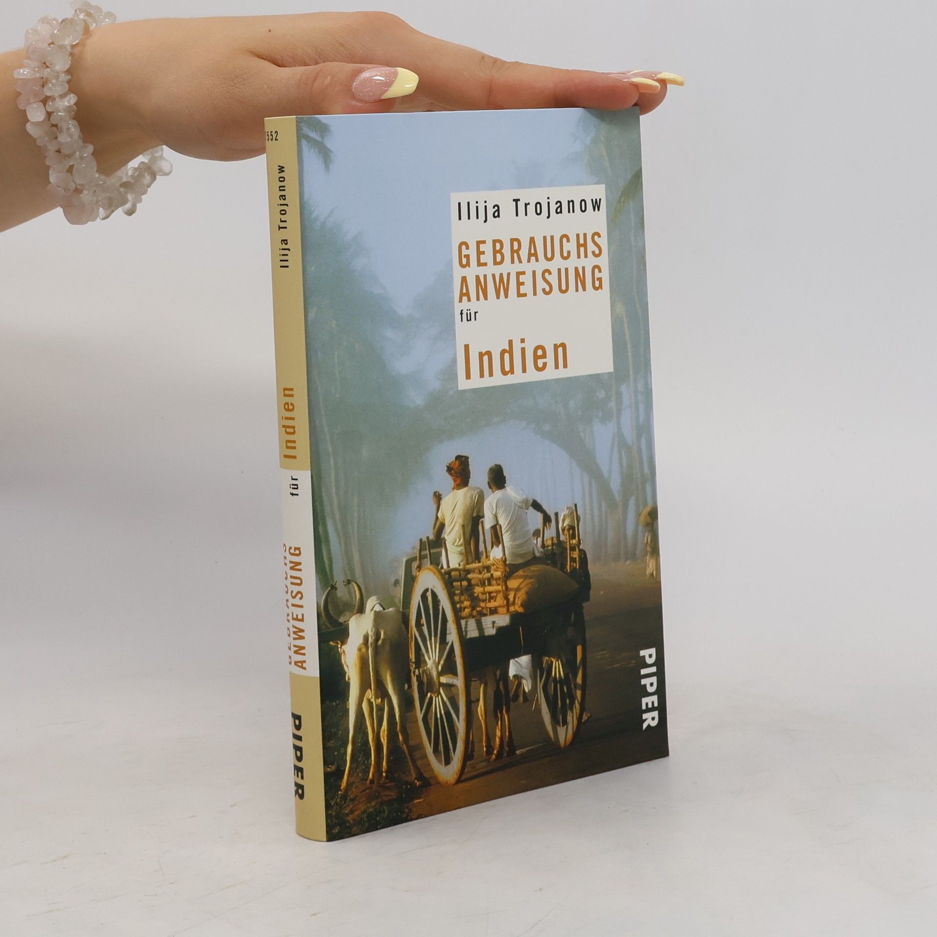 Ilija Trojanow Gebrauchsanweisung für Indien