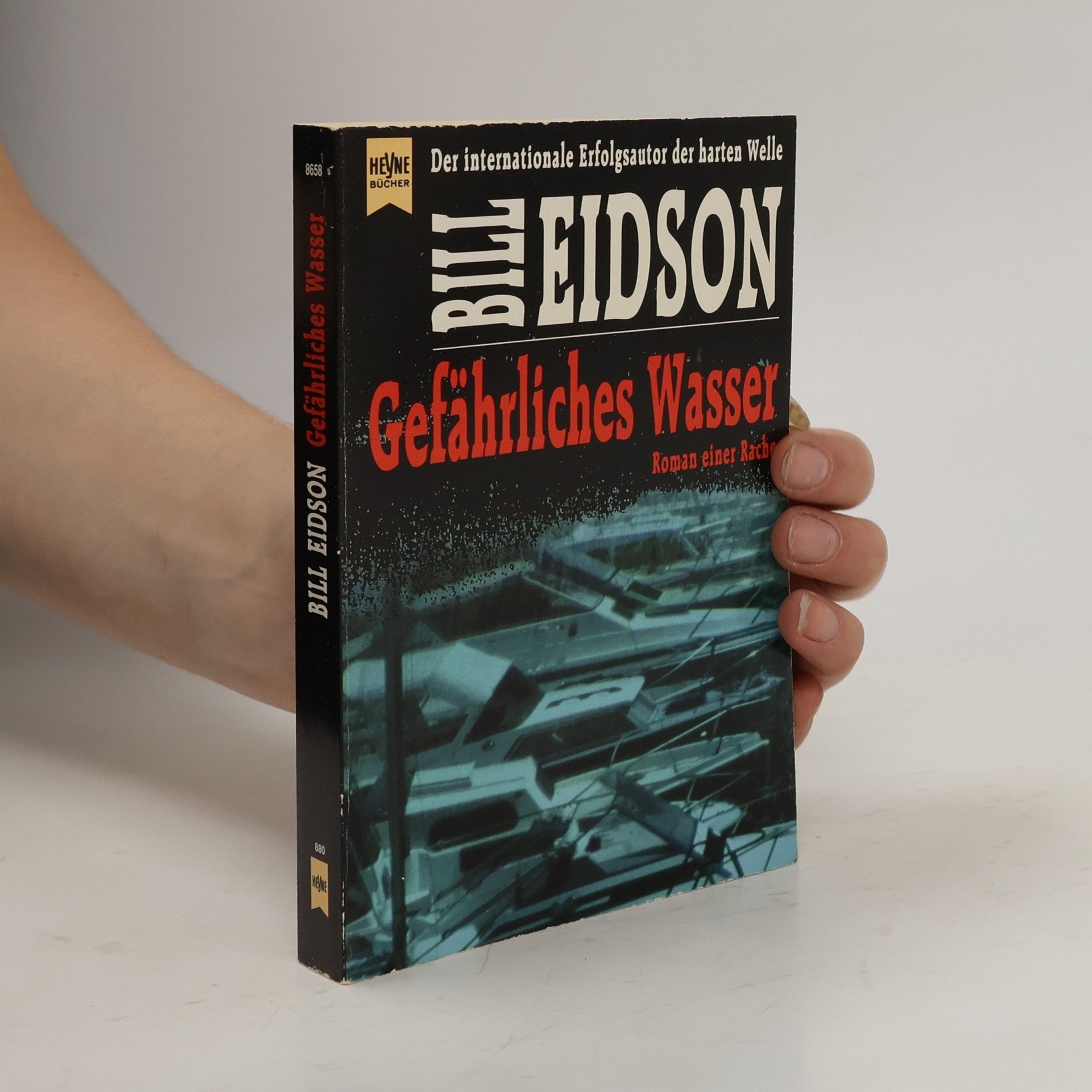 Bill Eidson Gefährliches Wasser. Roman einer Rache.