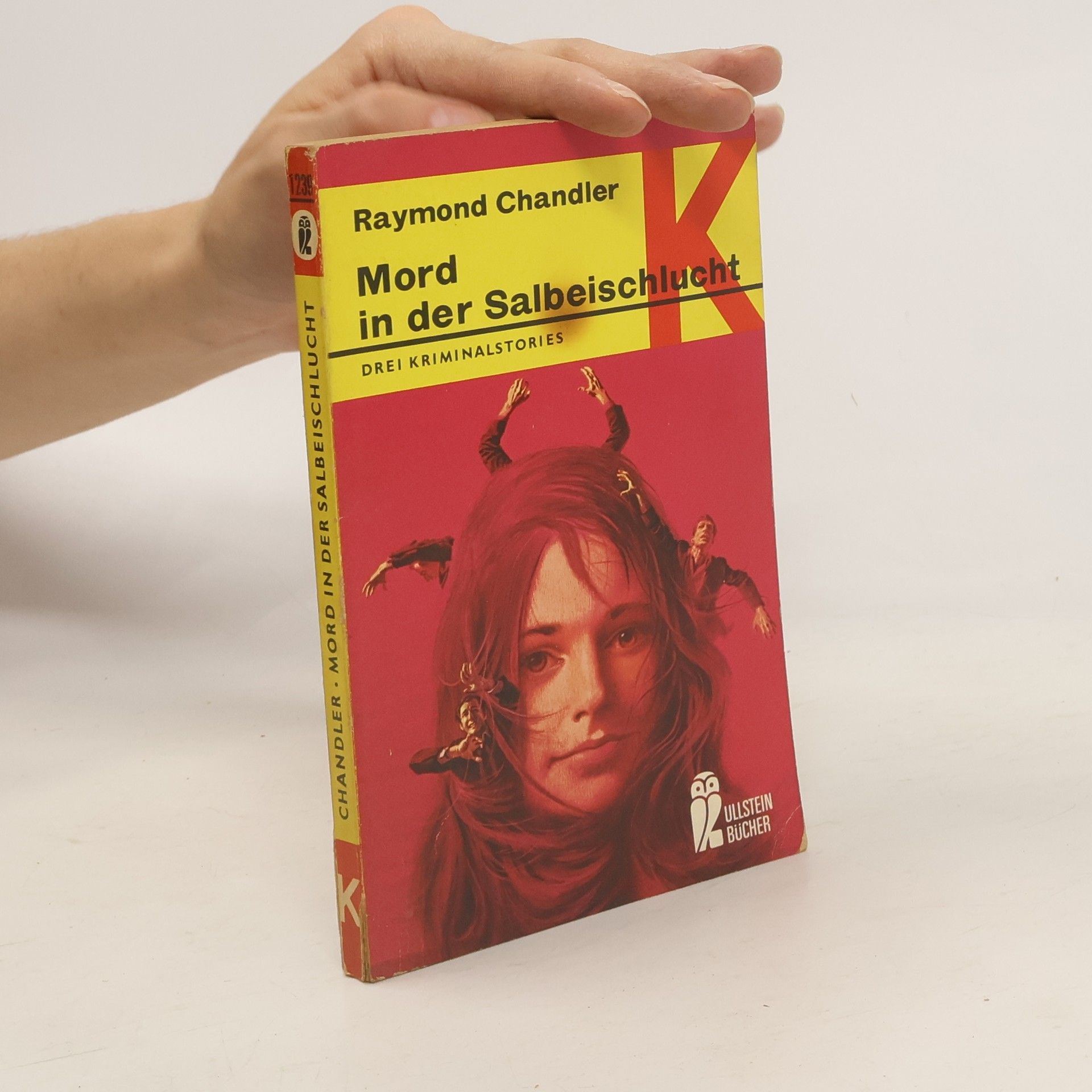 Raymond Chandler Mord in der Salbeischlucht