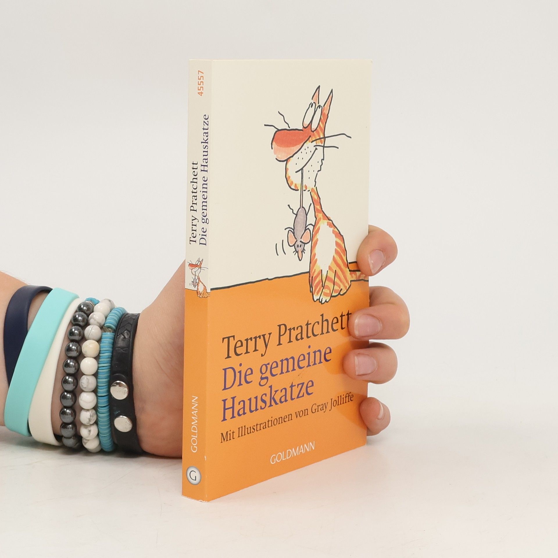 Terry Pratchett Die gemeine Hauskatze