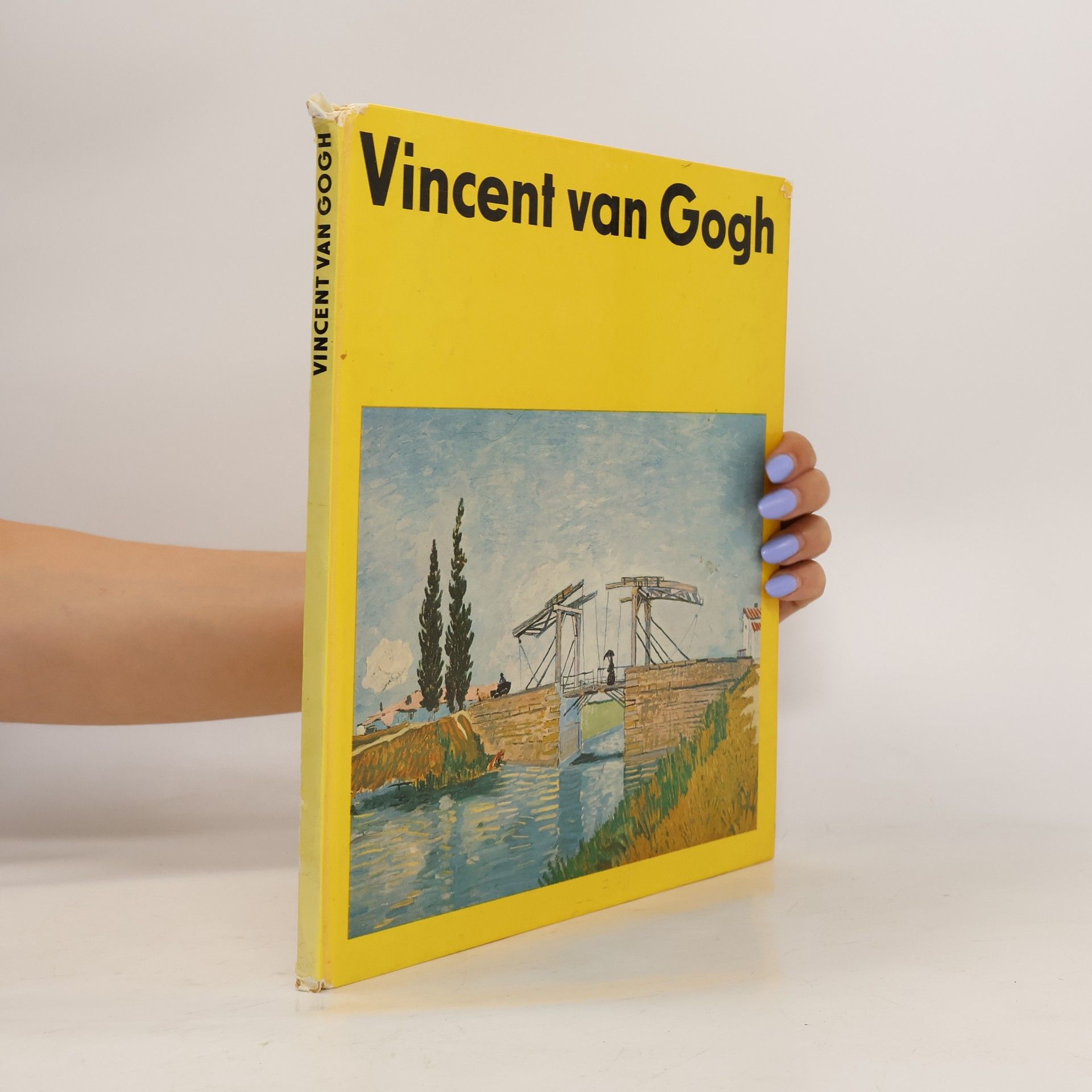 Vincent van Gogh Vincent van Gogh