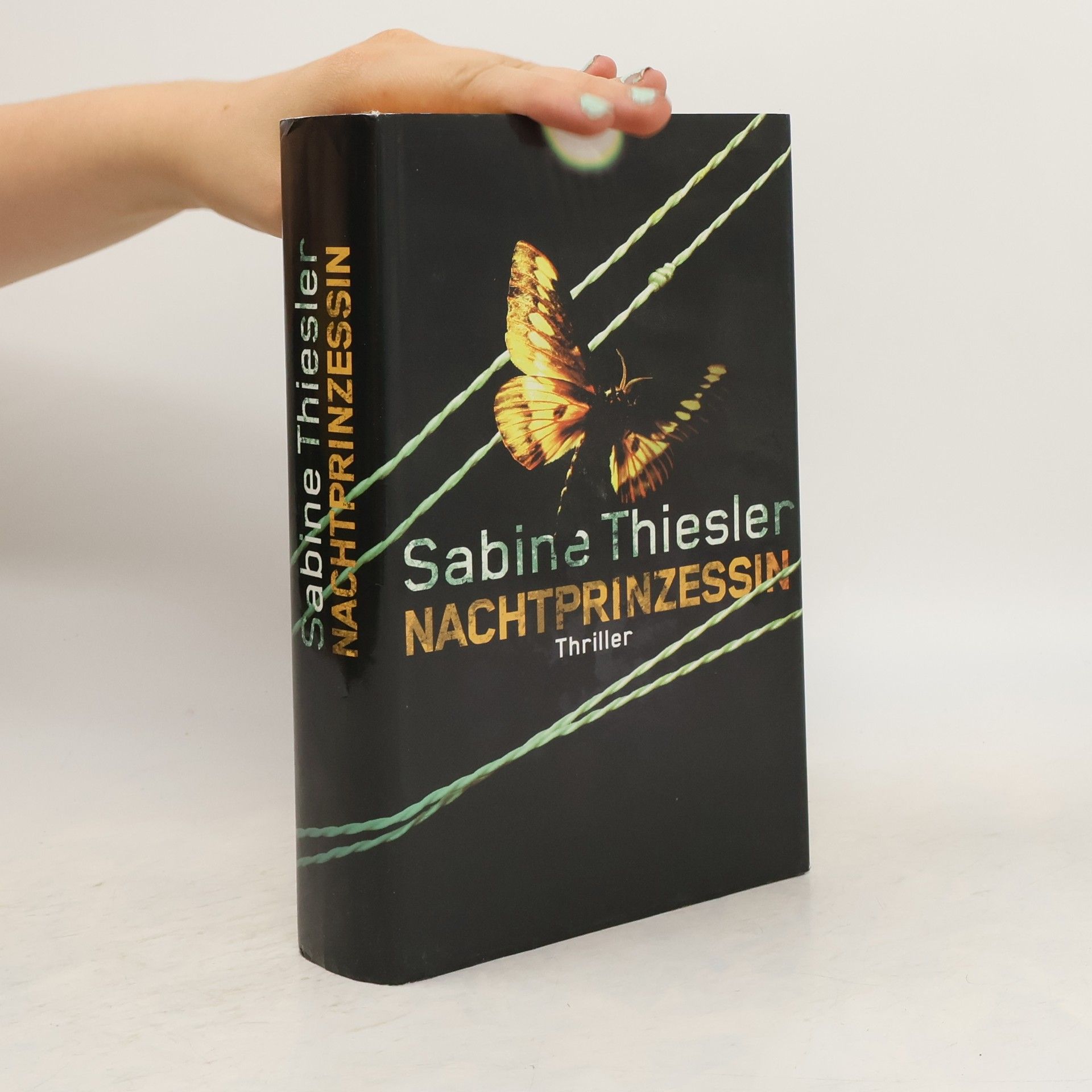 Sabine Thiesler Nachtprinzessin