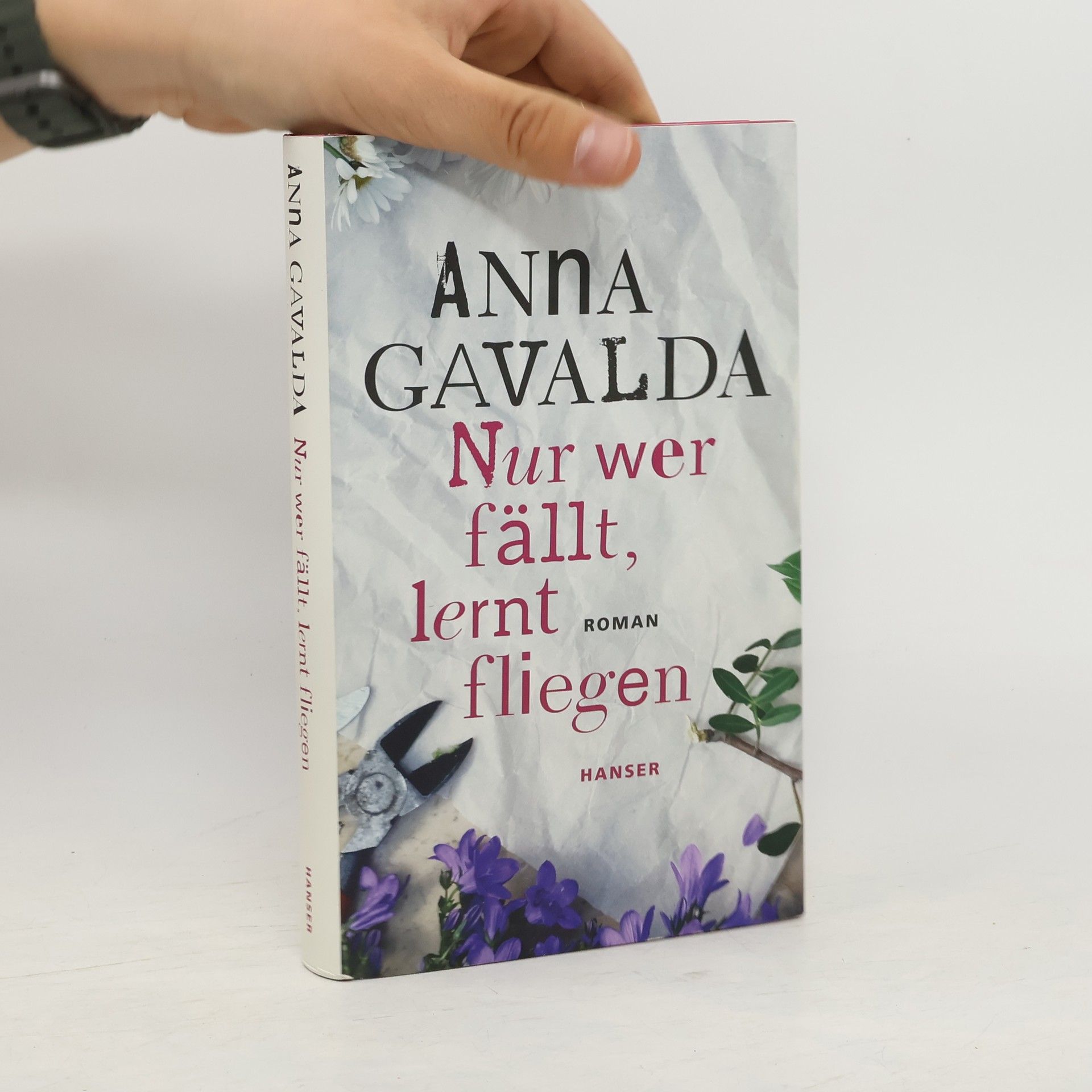Anna Gavalda Nur wer fällt, lernt fliegen