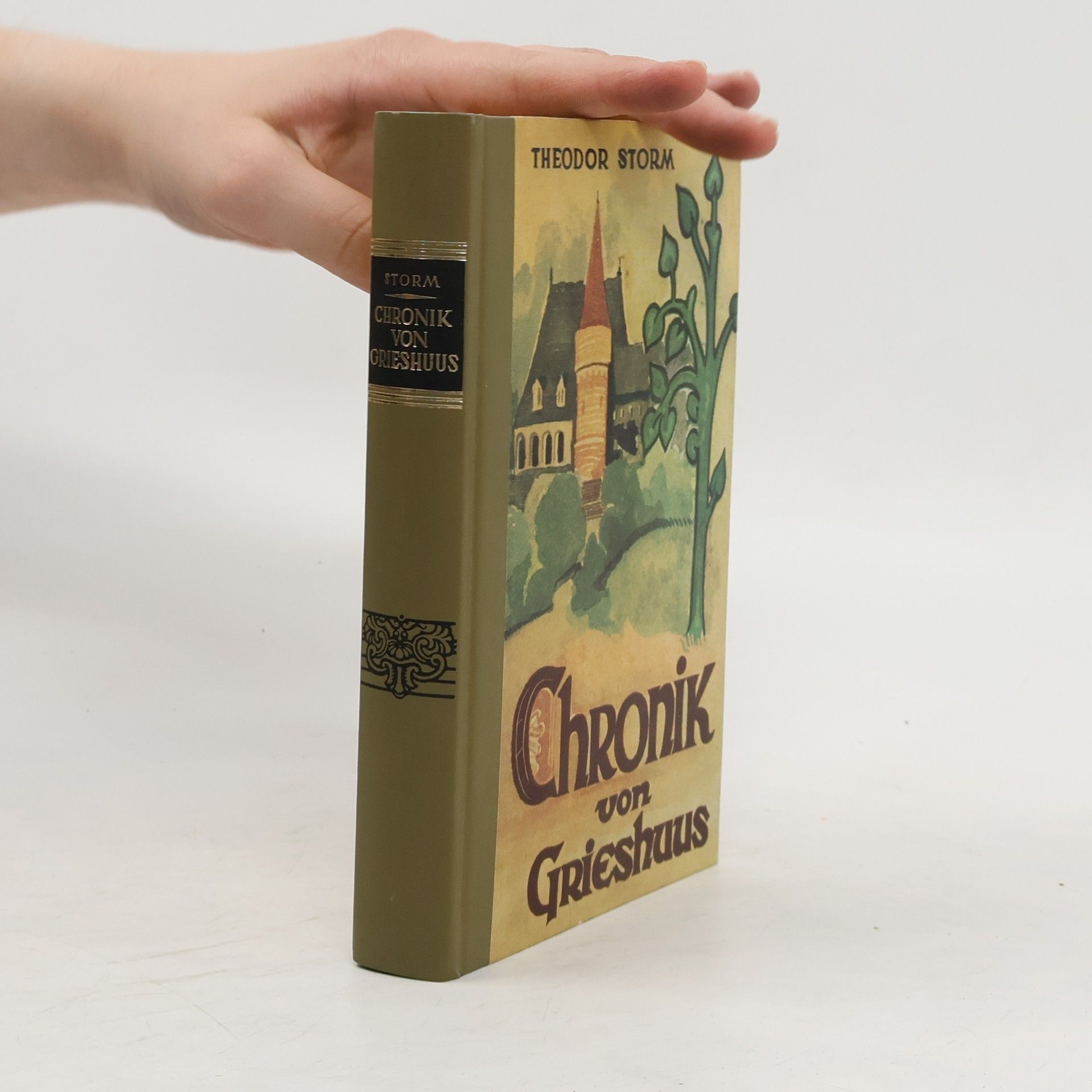 Theodor Storm Chronik von Grieshuus