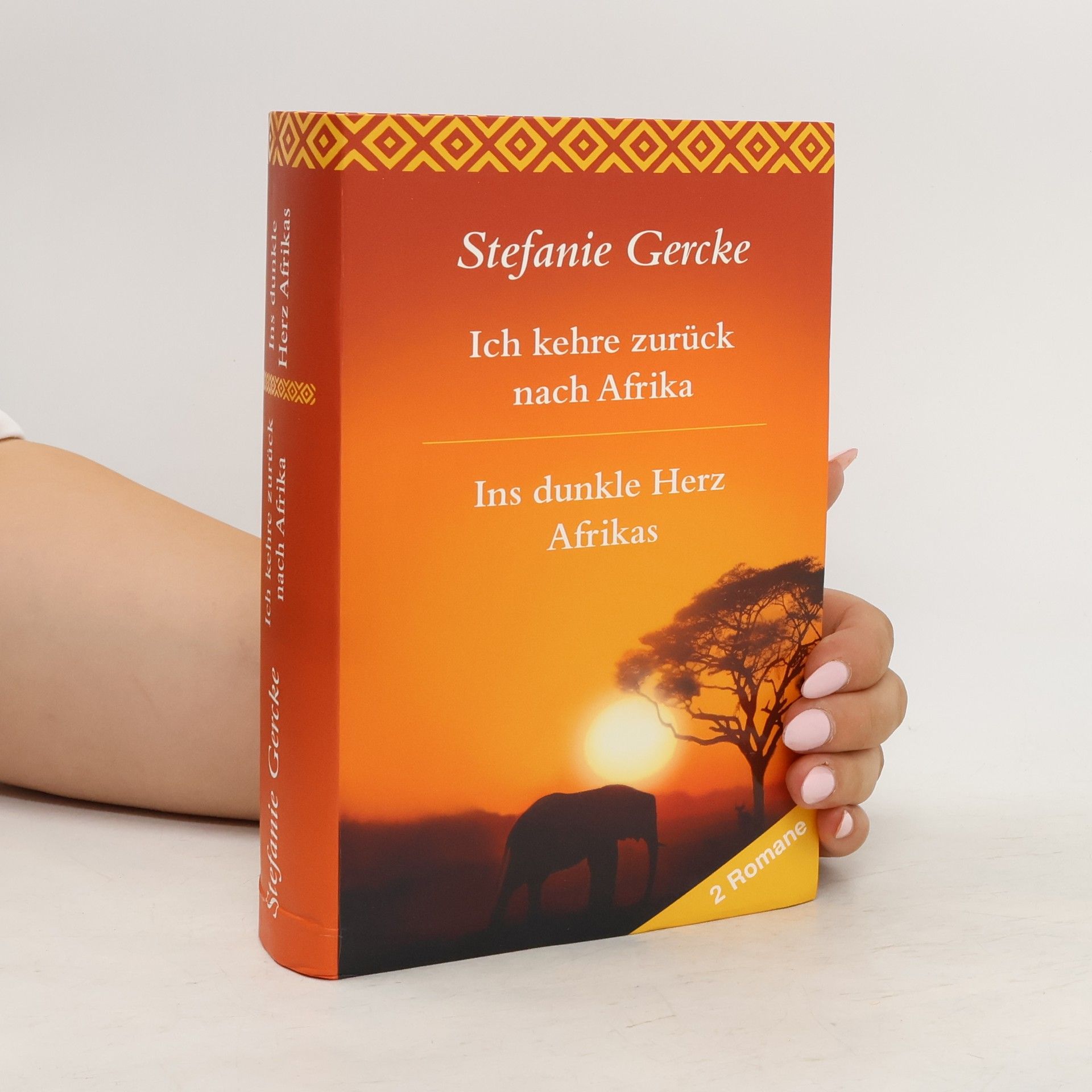 Stefanie Gercke Ich kehre zurück nach Afrika. Ins dunkle Herz Afrikas