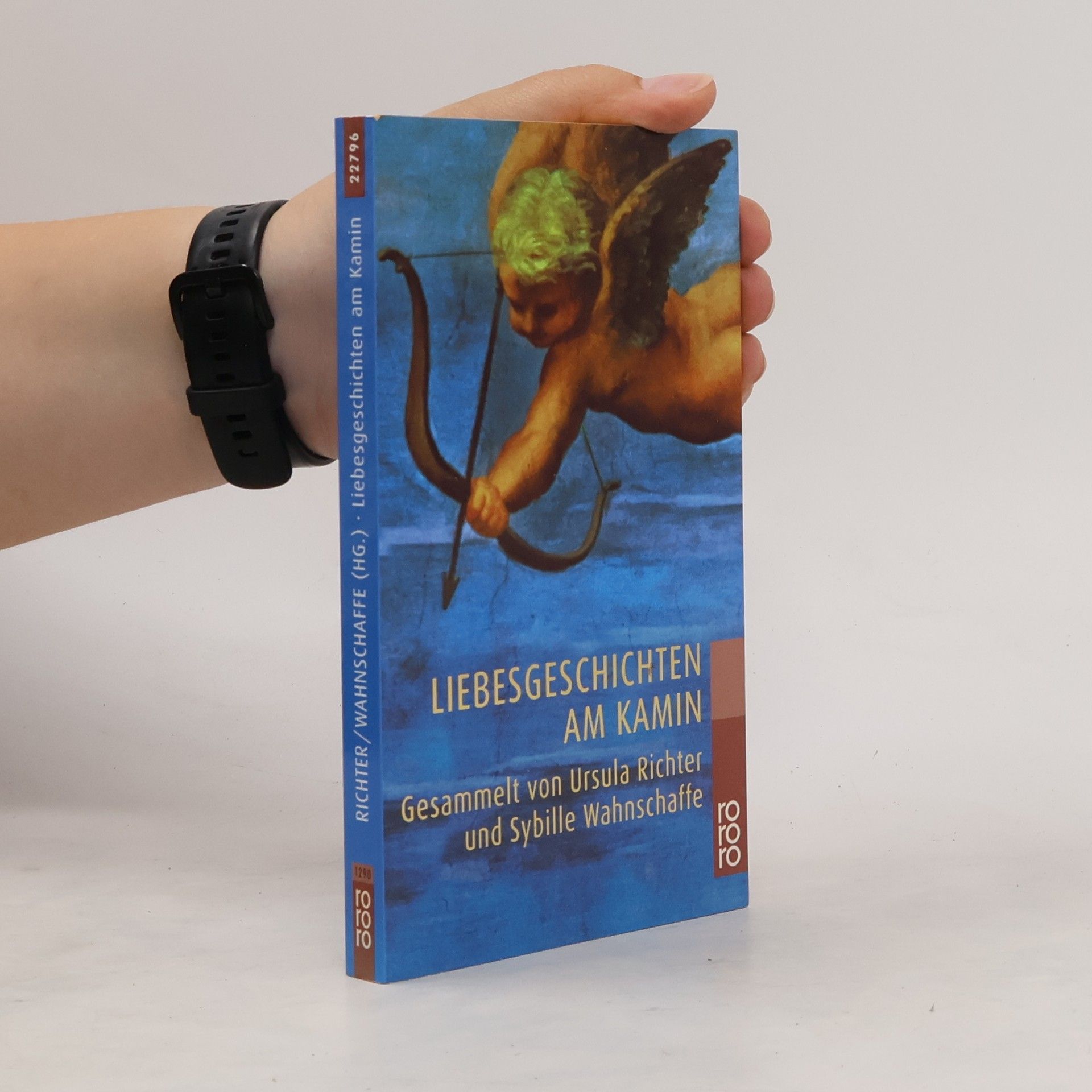 Collectif d'auteurs Liebesgeschichten am Kamin