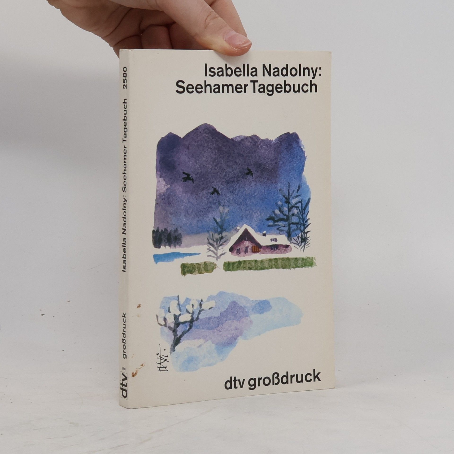 Isabella Peltzer Seehamer Tagebuch