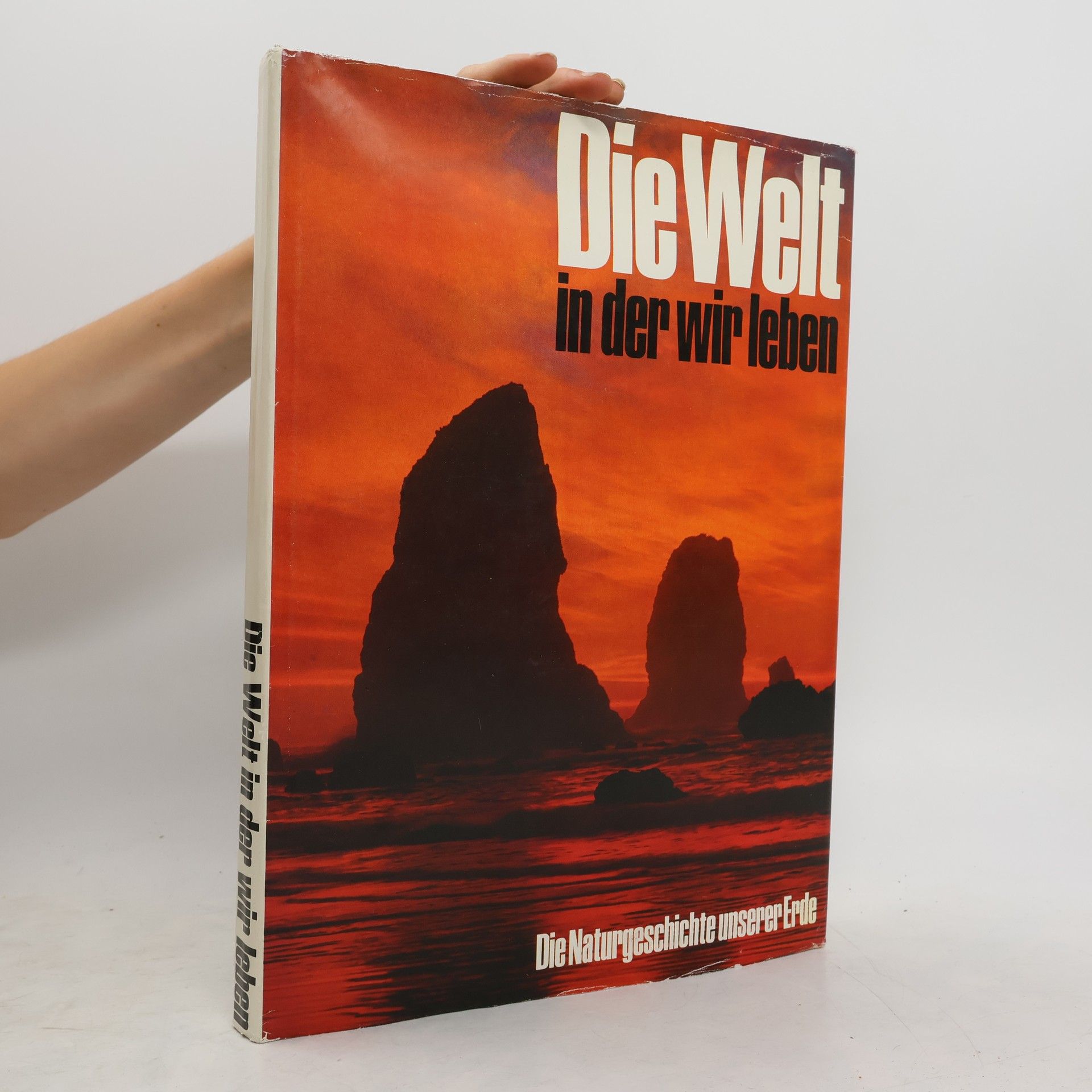 Autorenkollektiv Die Welt in der wir leben