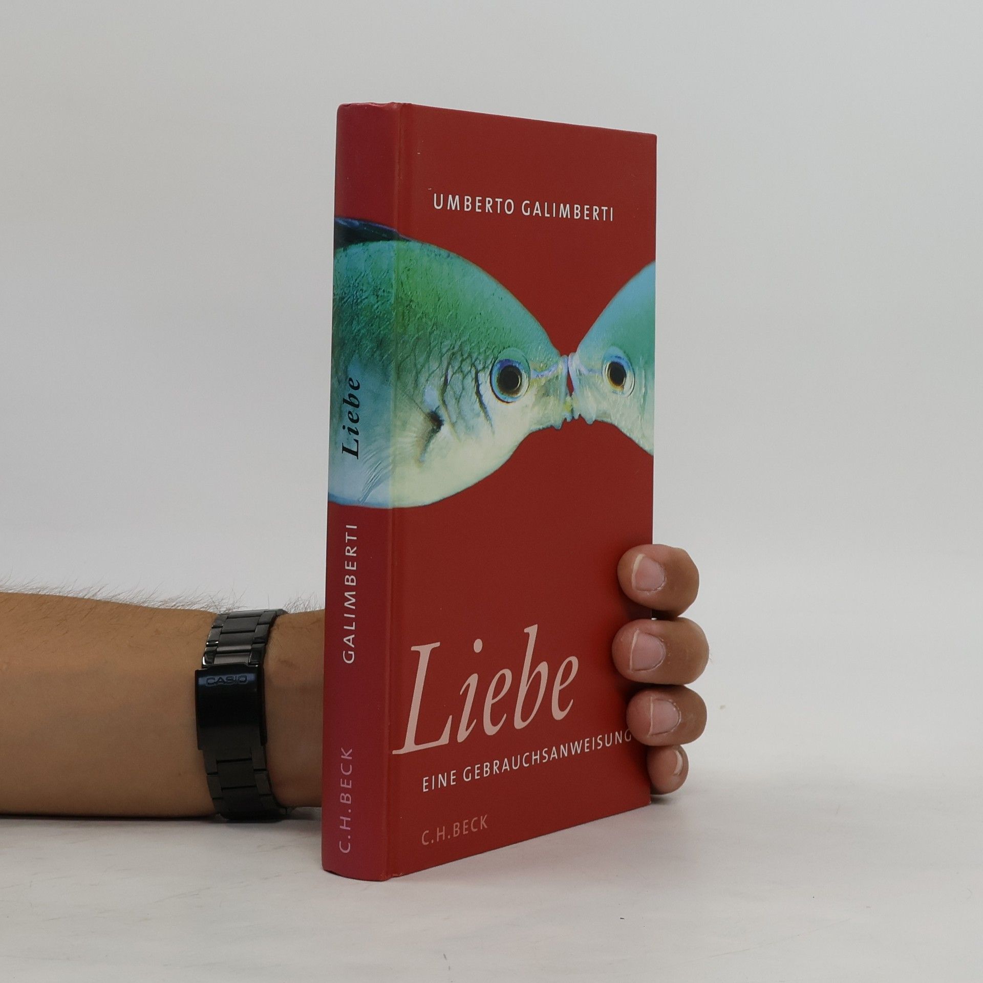 Umberto Galimberti Liebe
