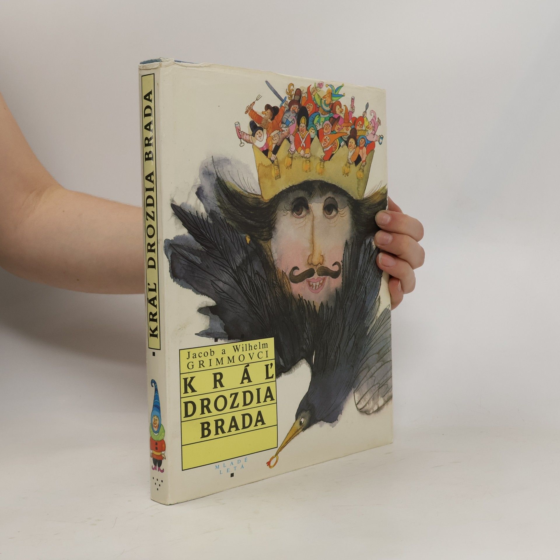 bratři Grimmové Kráľ drozdia brada