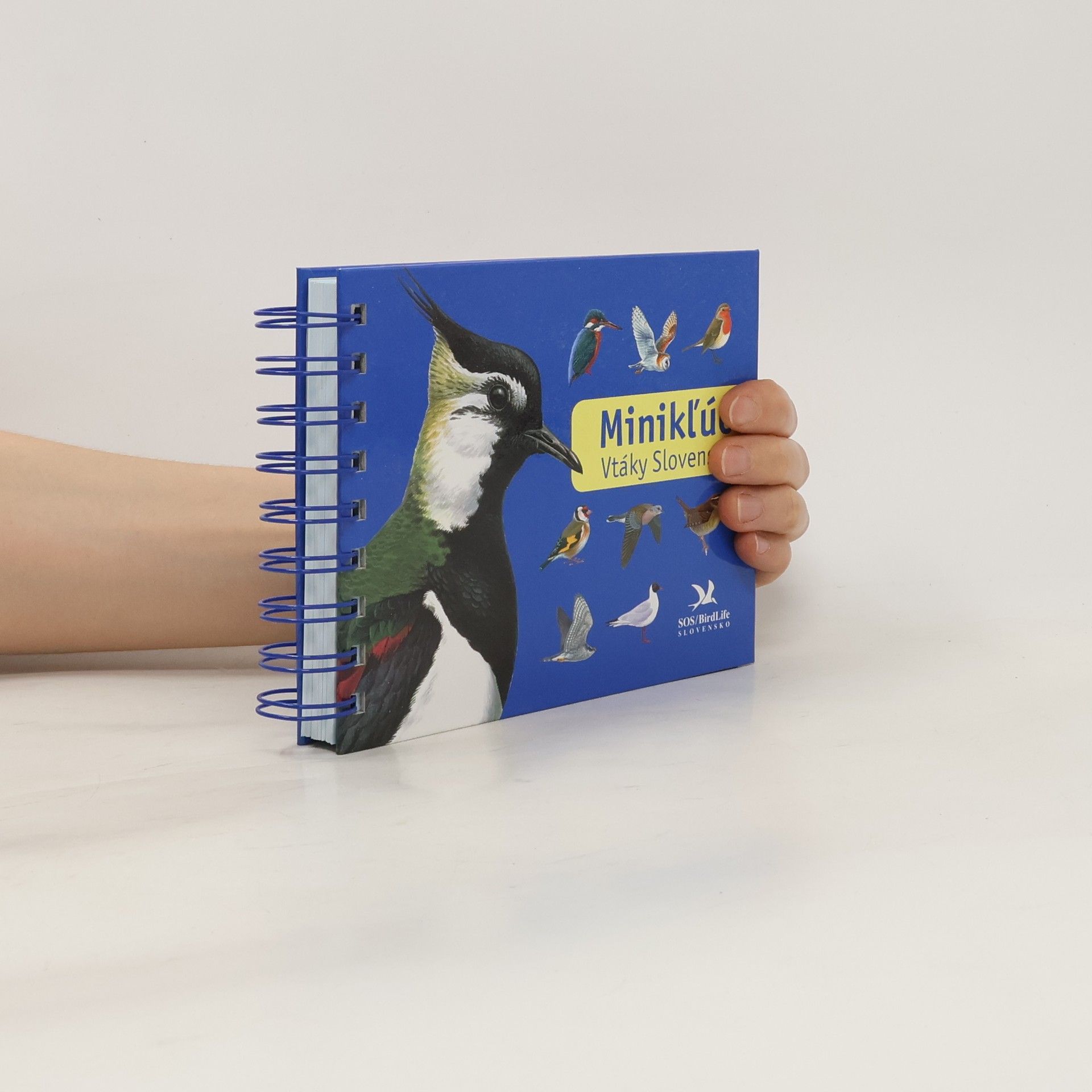 Auteurscollectief Minikľúč Vtáky Slovenska