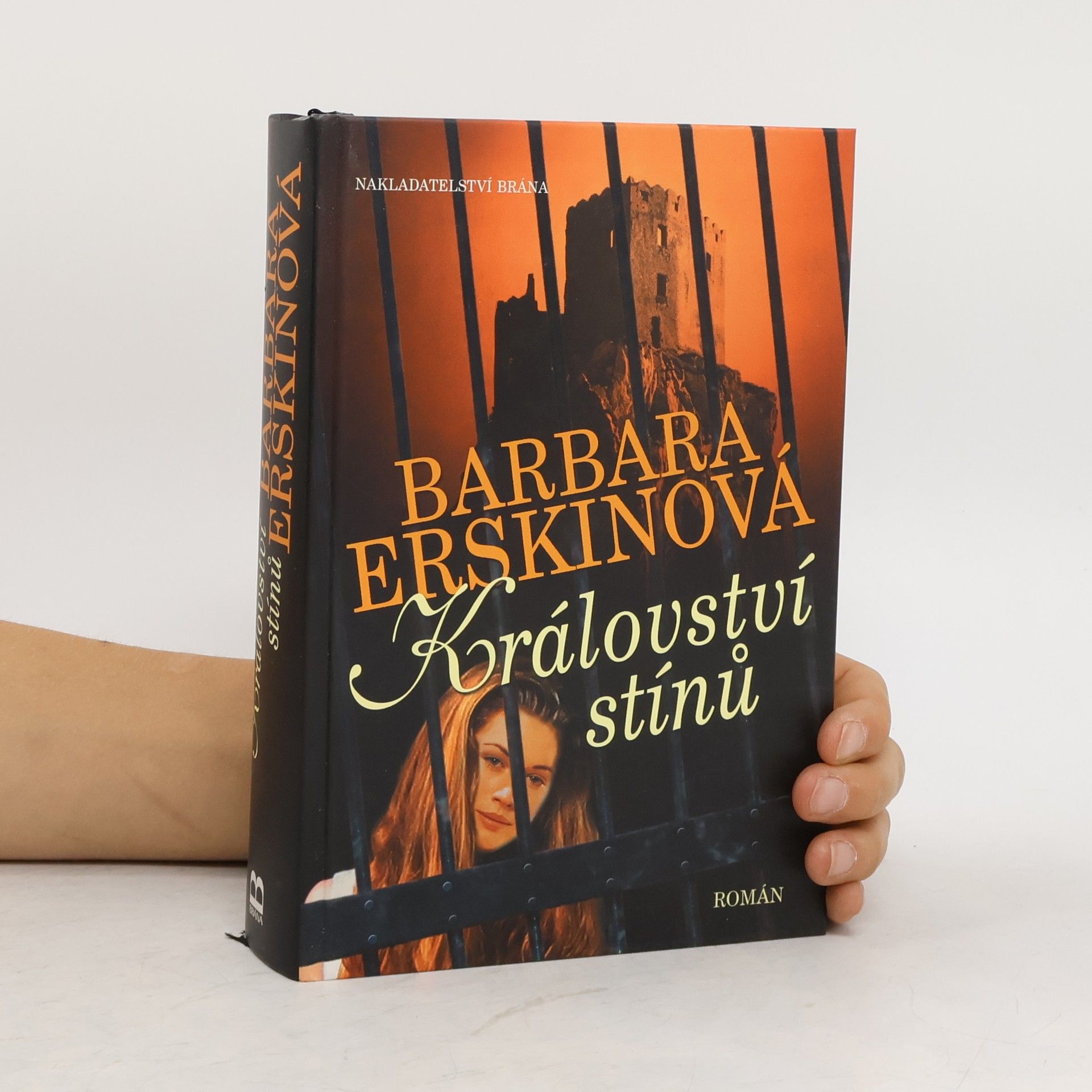 Barbara Erskine Království stínů : román