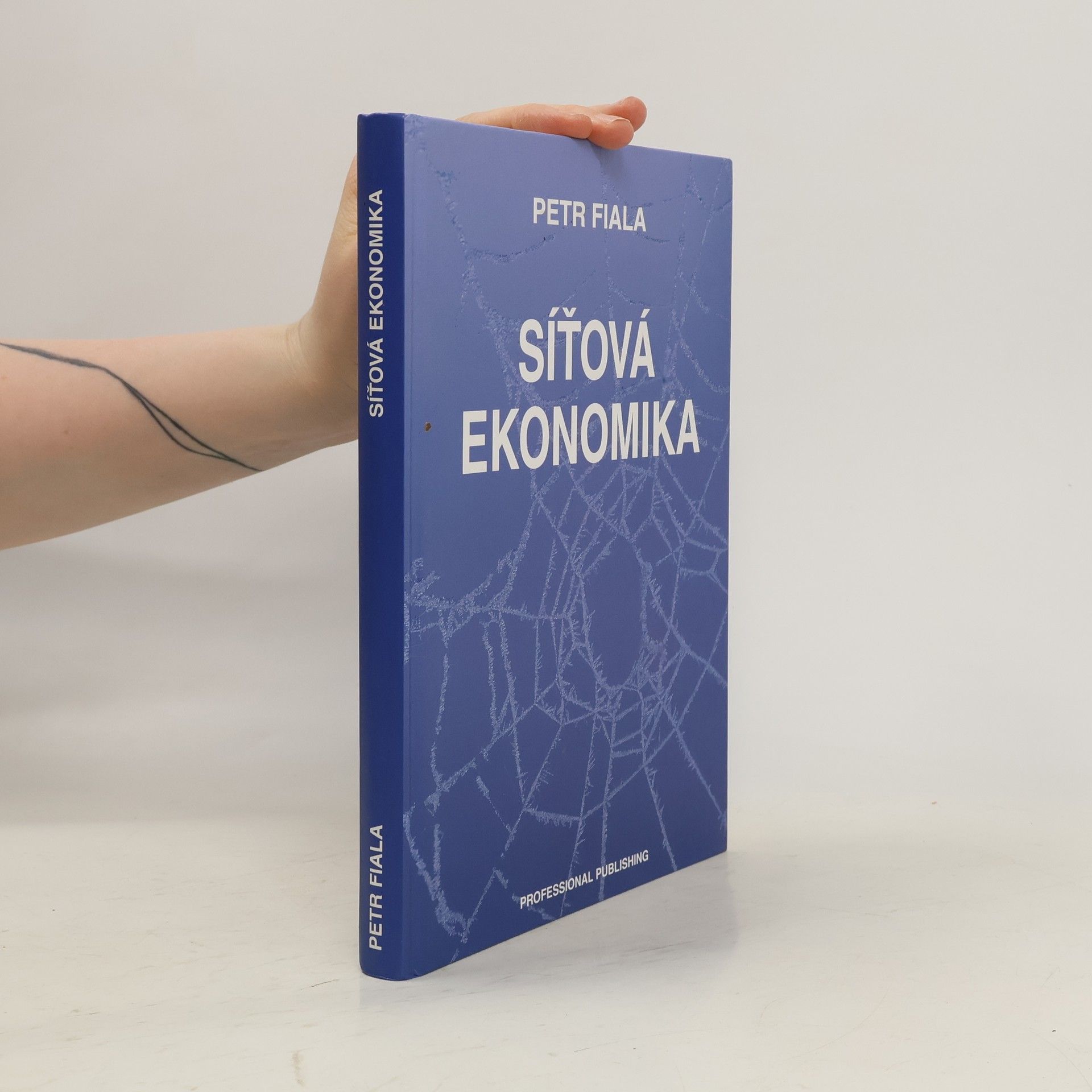 Petr Fiala Síťová ekonomika