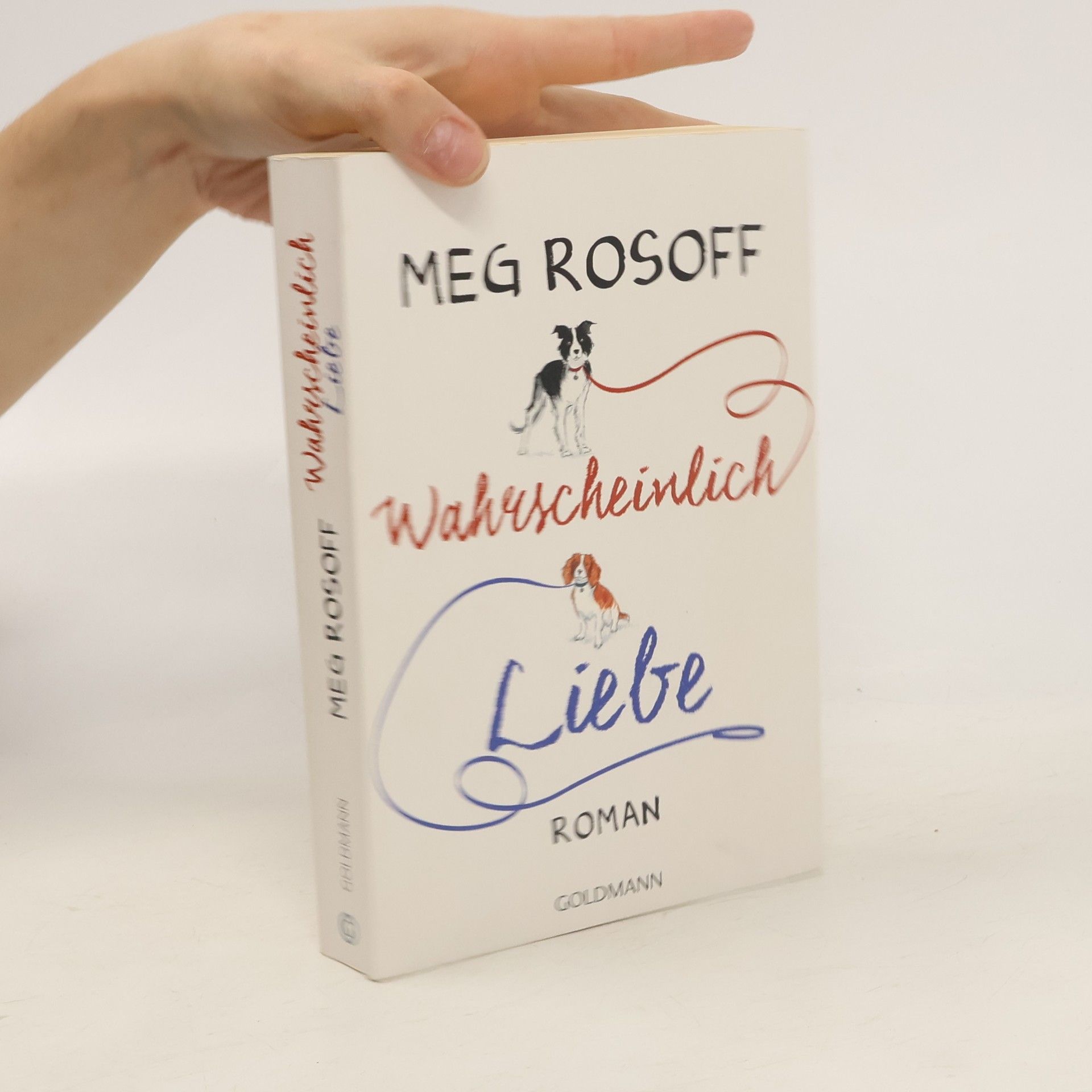 Meg Rosoff Wahrscheinlich Liebe