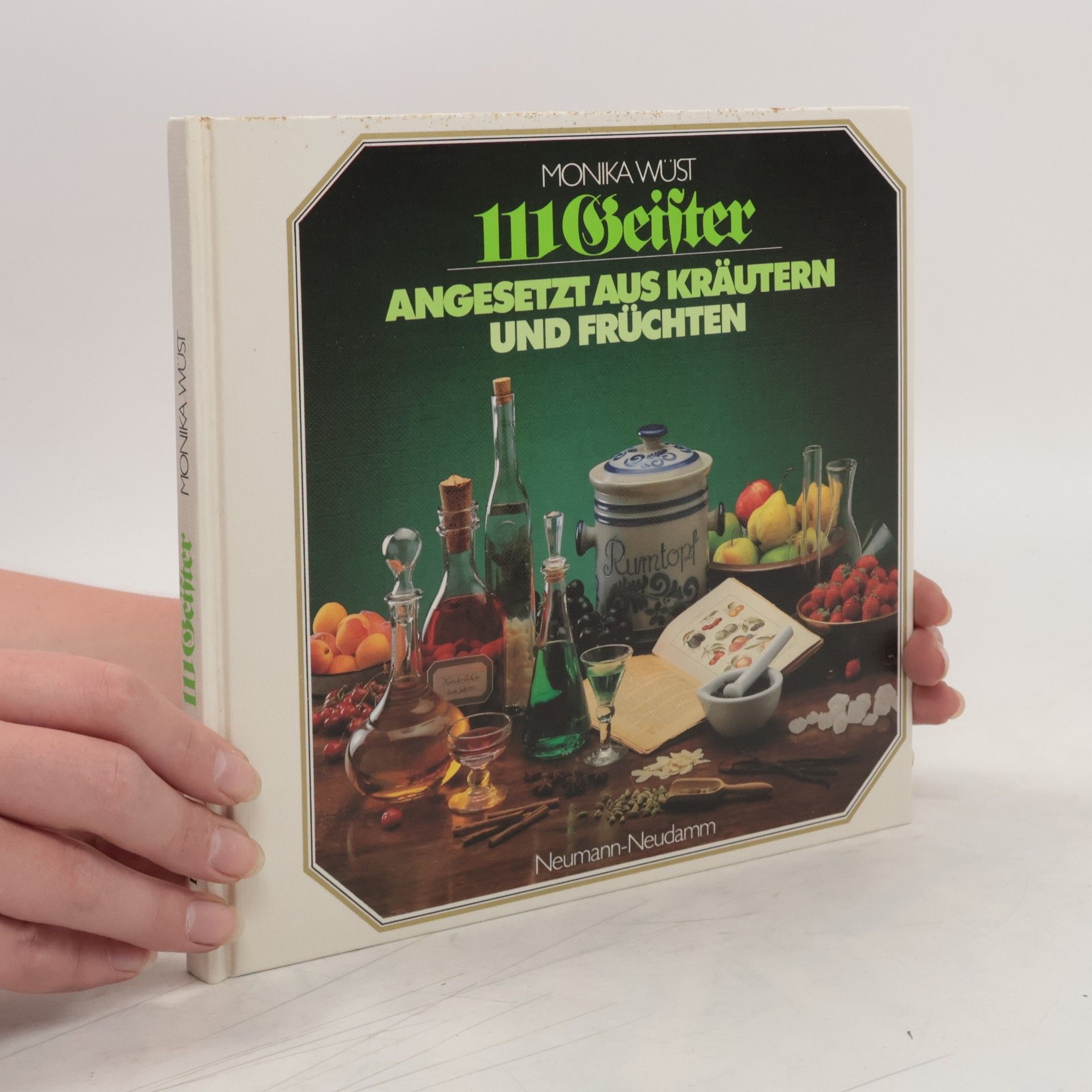 Monika Wüst 111 Geister