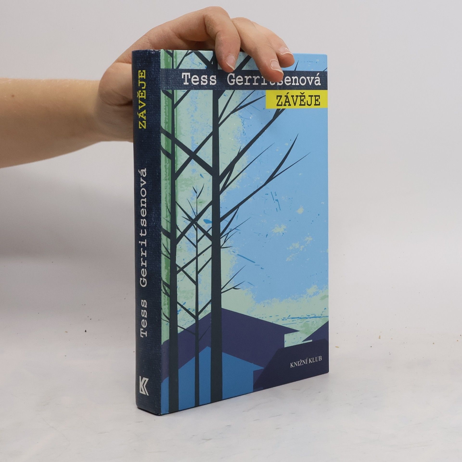 Tess Gerritsen Závěje