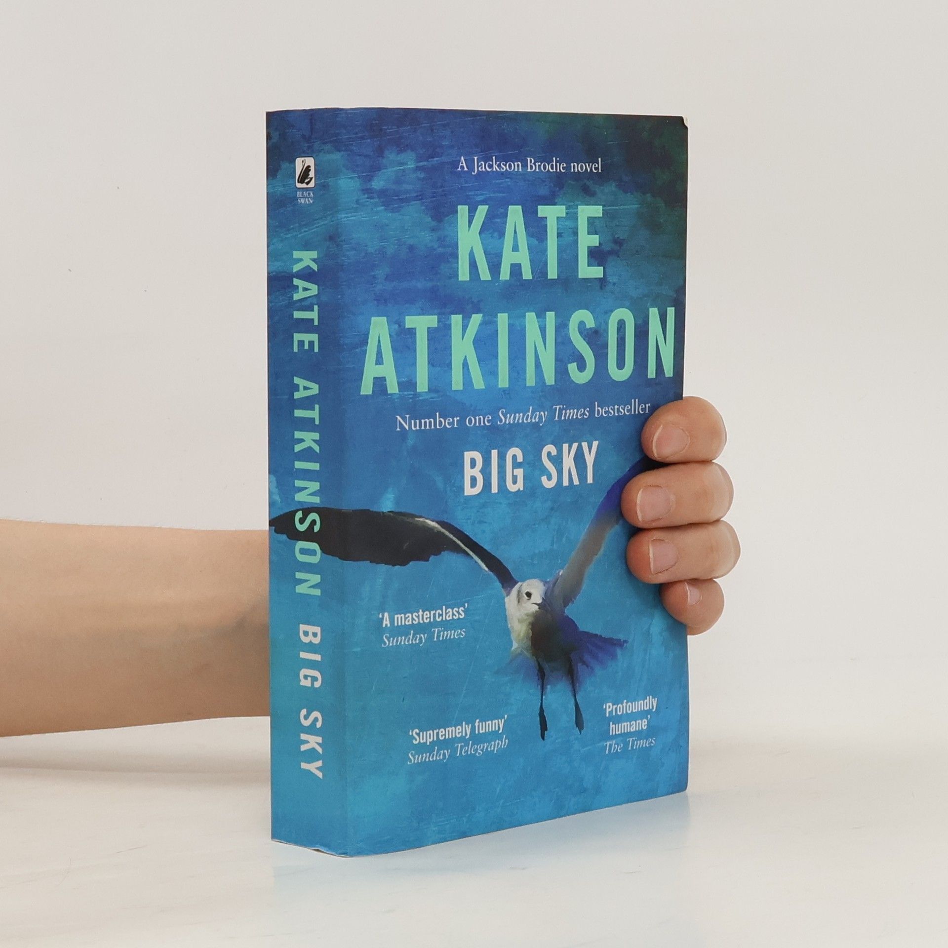 Kate Atkinson Big sky