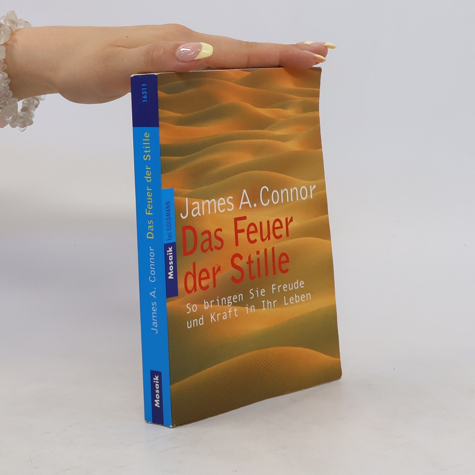 James A. Connor Das Feuer der Stille