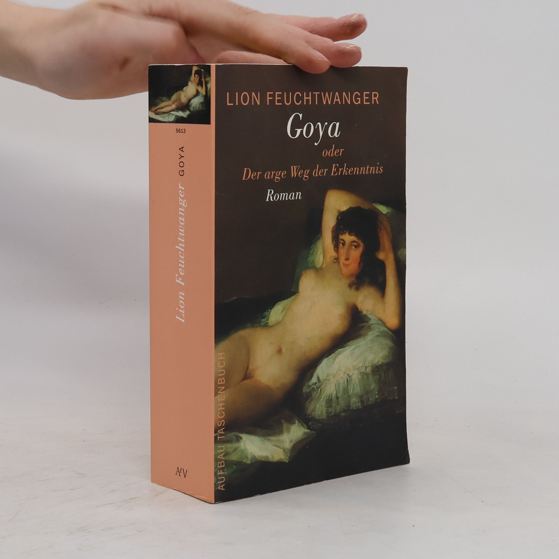 Lion Feuchtwanger Goya oder der arge Weg der Erkenntnis