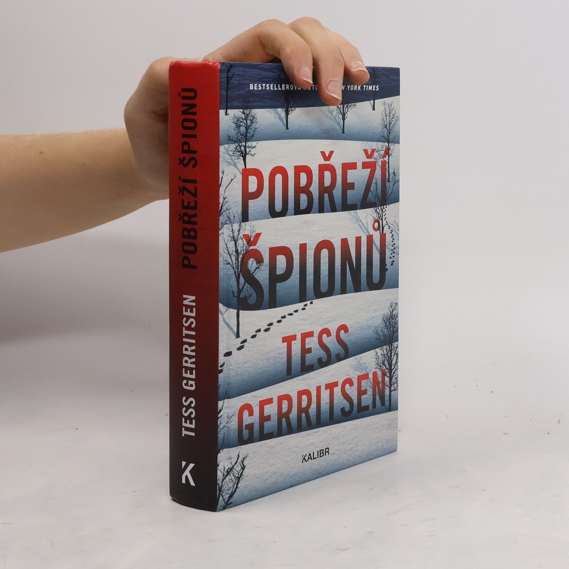 Tess Gerritsen Pobřeží špionů