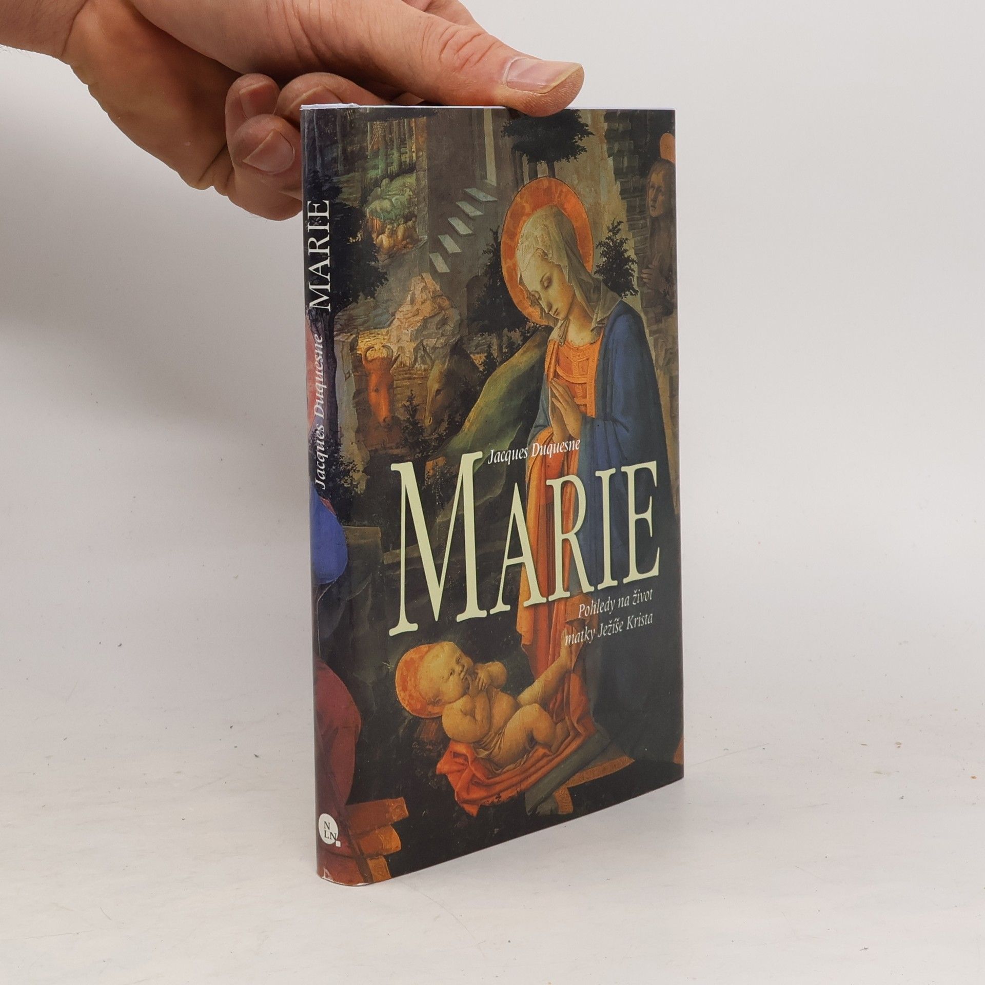 Jacques Duquesne Marie - Pohledy na život matky Ježíše Krista