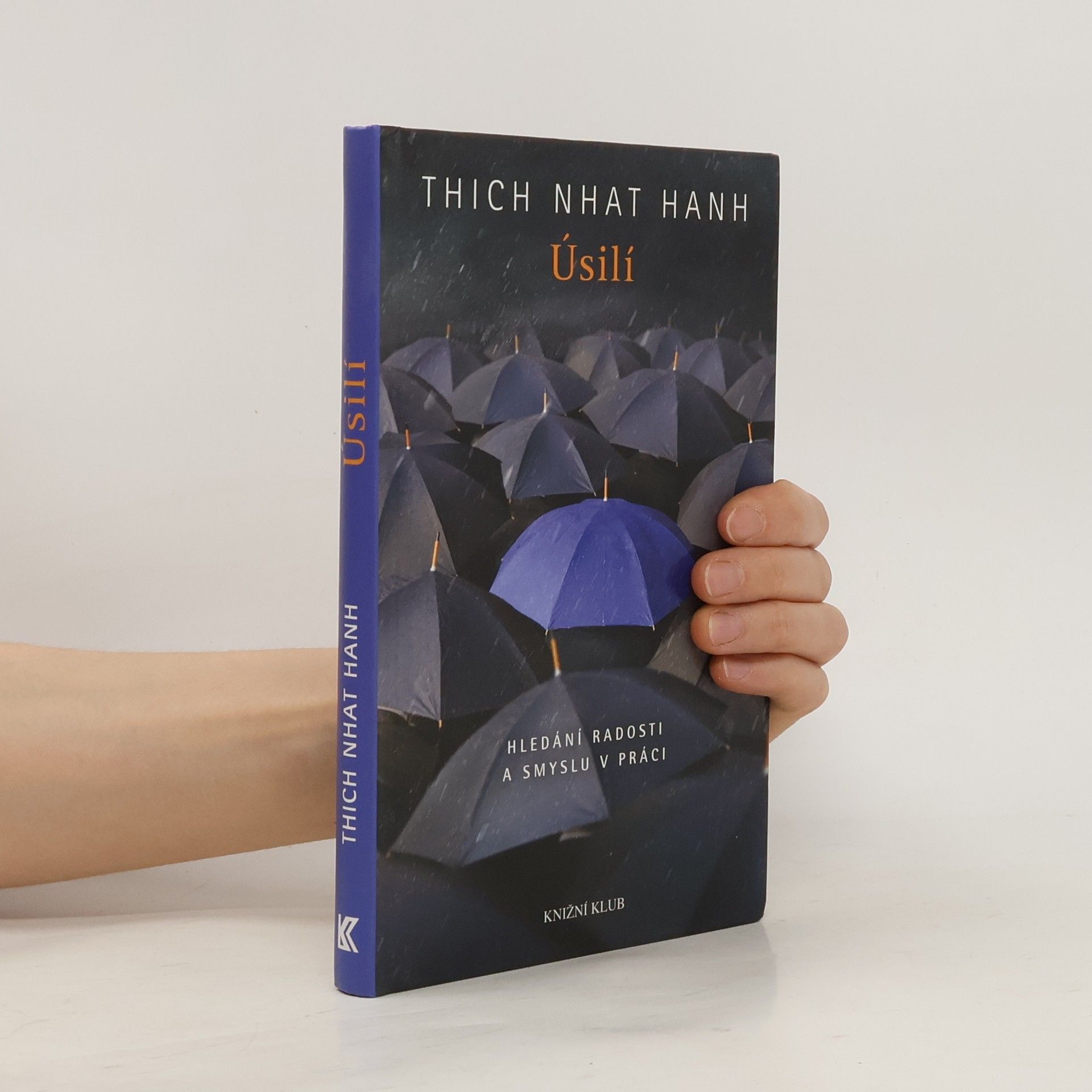Hạnh Nhat Úsilí. Hledání radosti a smyslu v práci