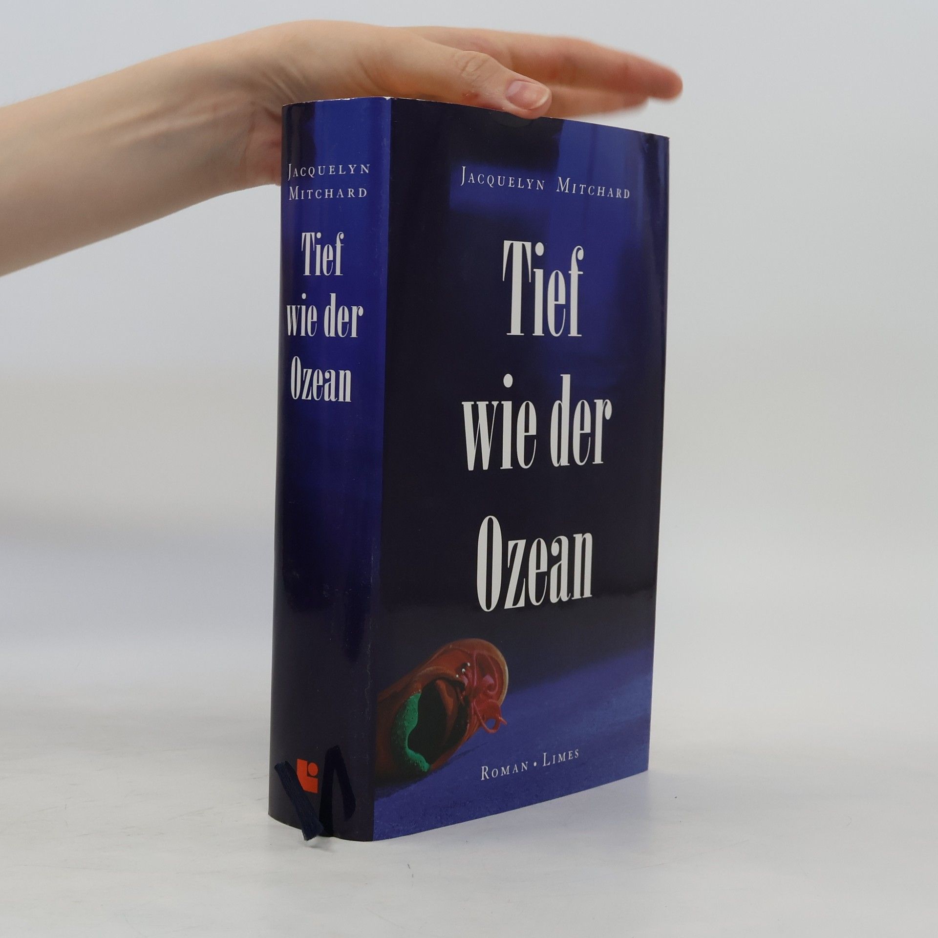 Jacquelyn Mitchard Tief wie der Ozean