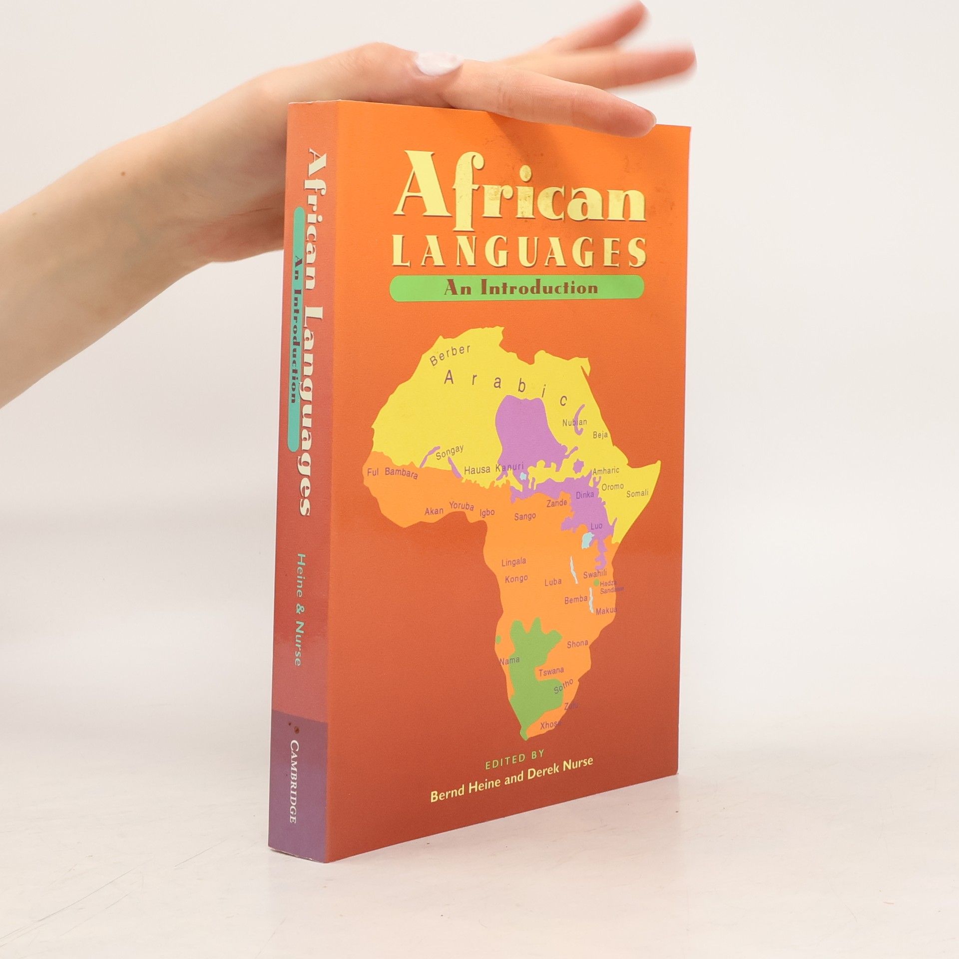 Bernd Heine African languages. An introduction