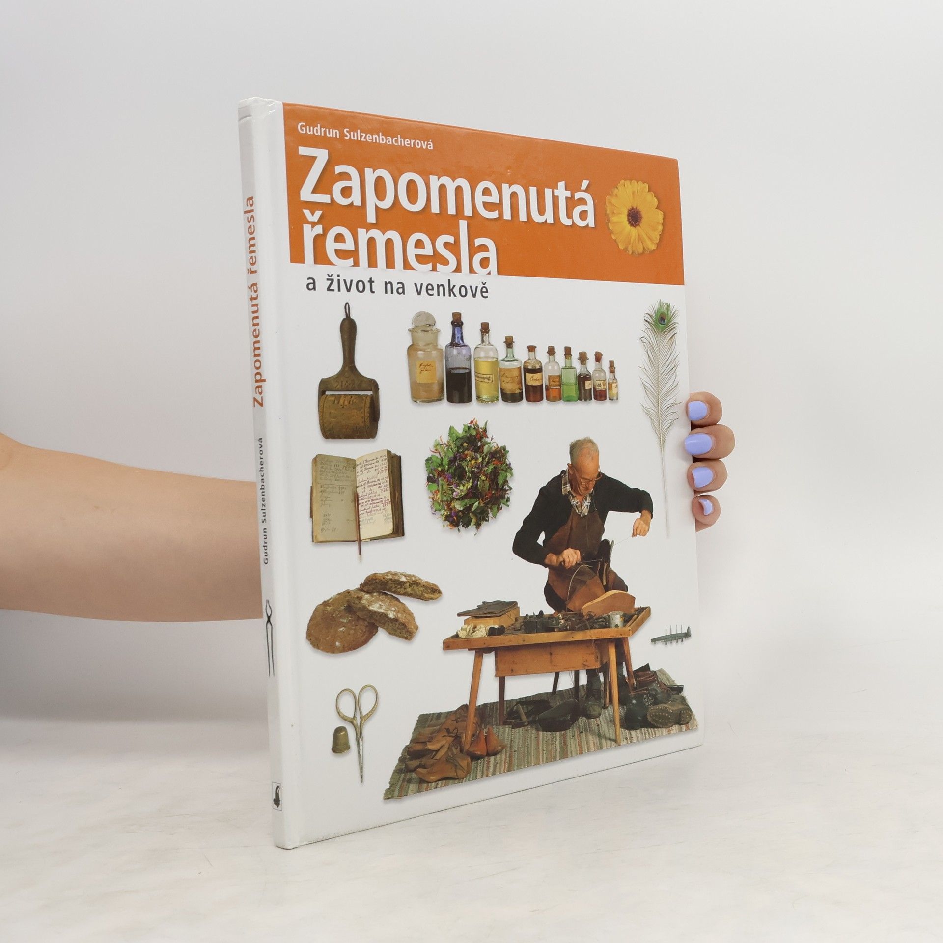 Kolektiv autorů Zapomenutá řemesla a život na venkově