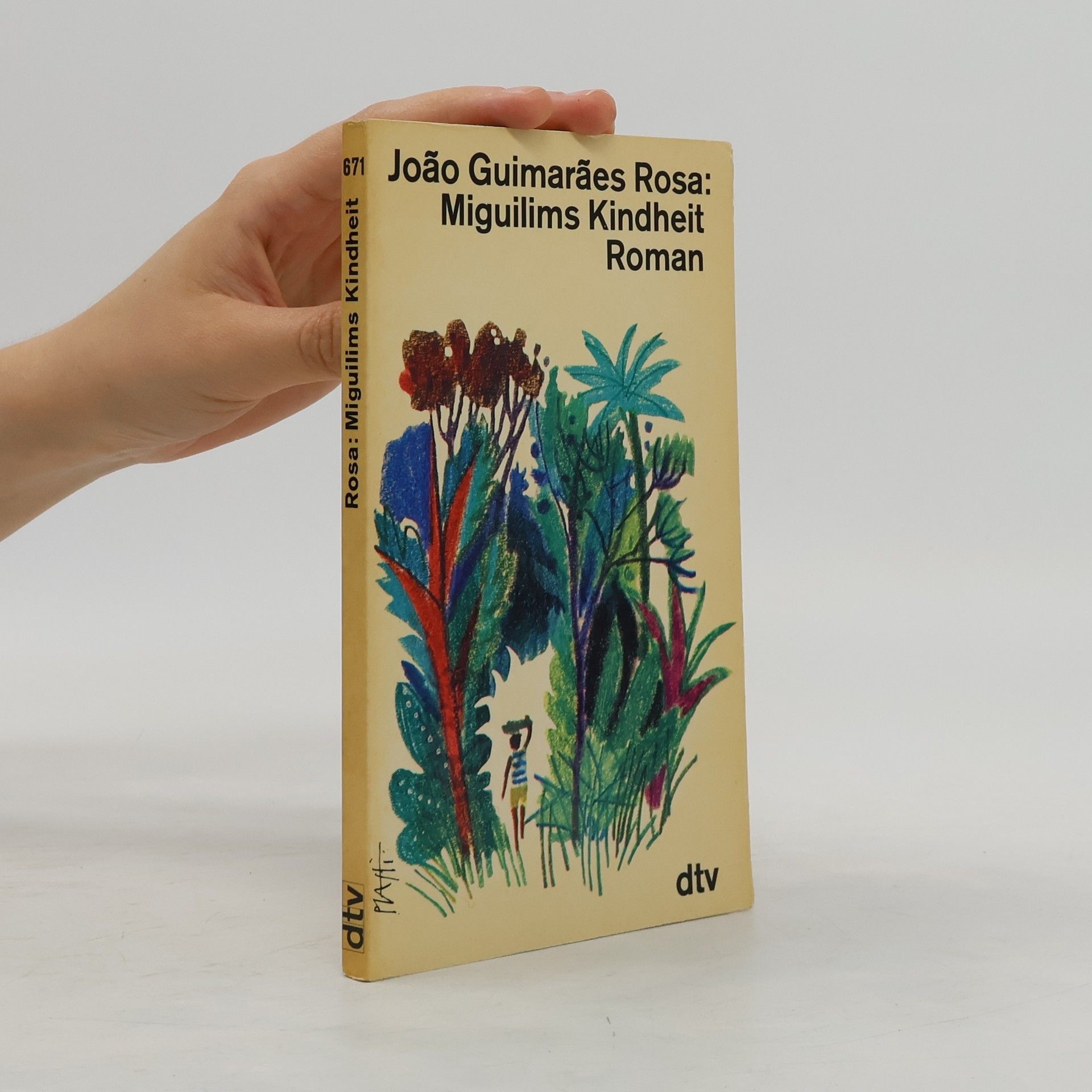 João Guimarães Rosa Miguilims Kindheit